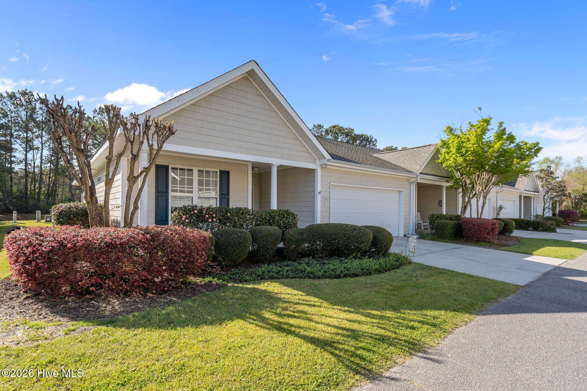 100566429 | Photo 24