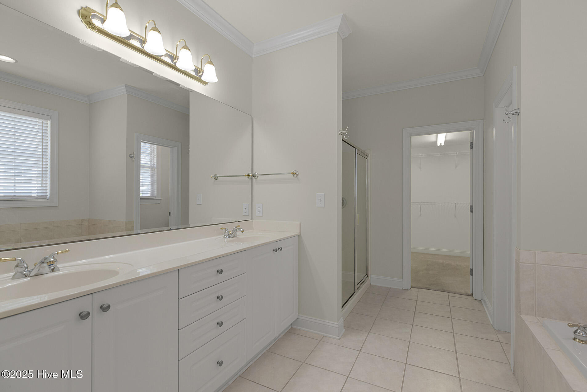 100558223 | Photo 26