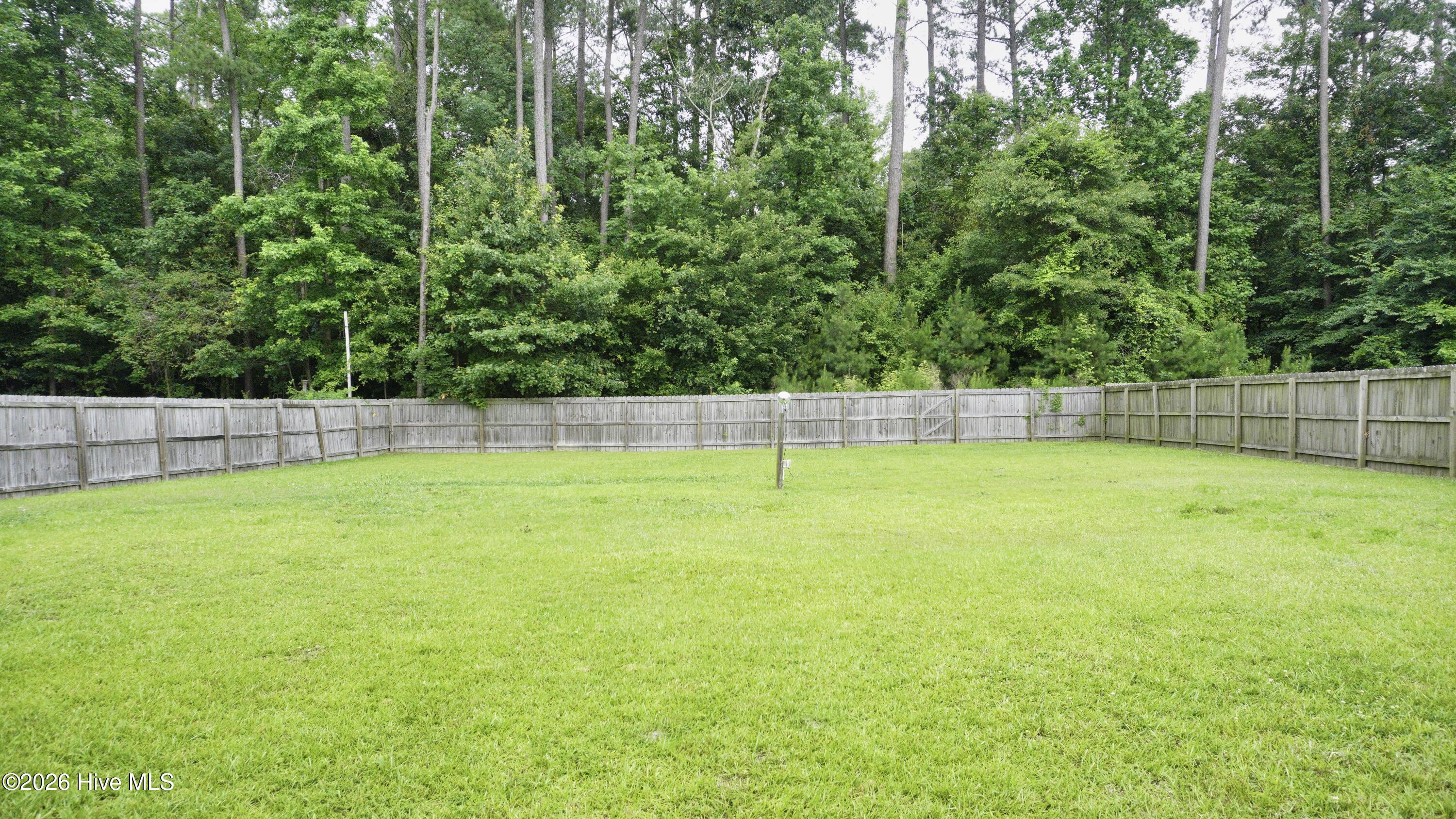 100557118 | Photo 11