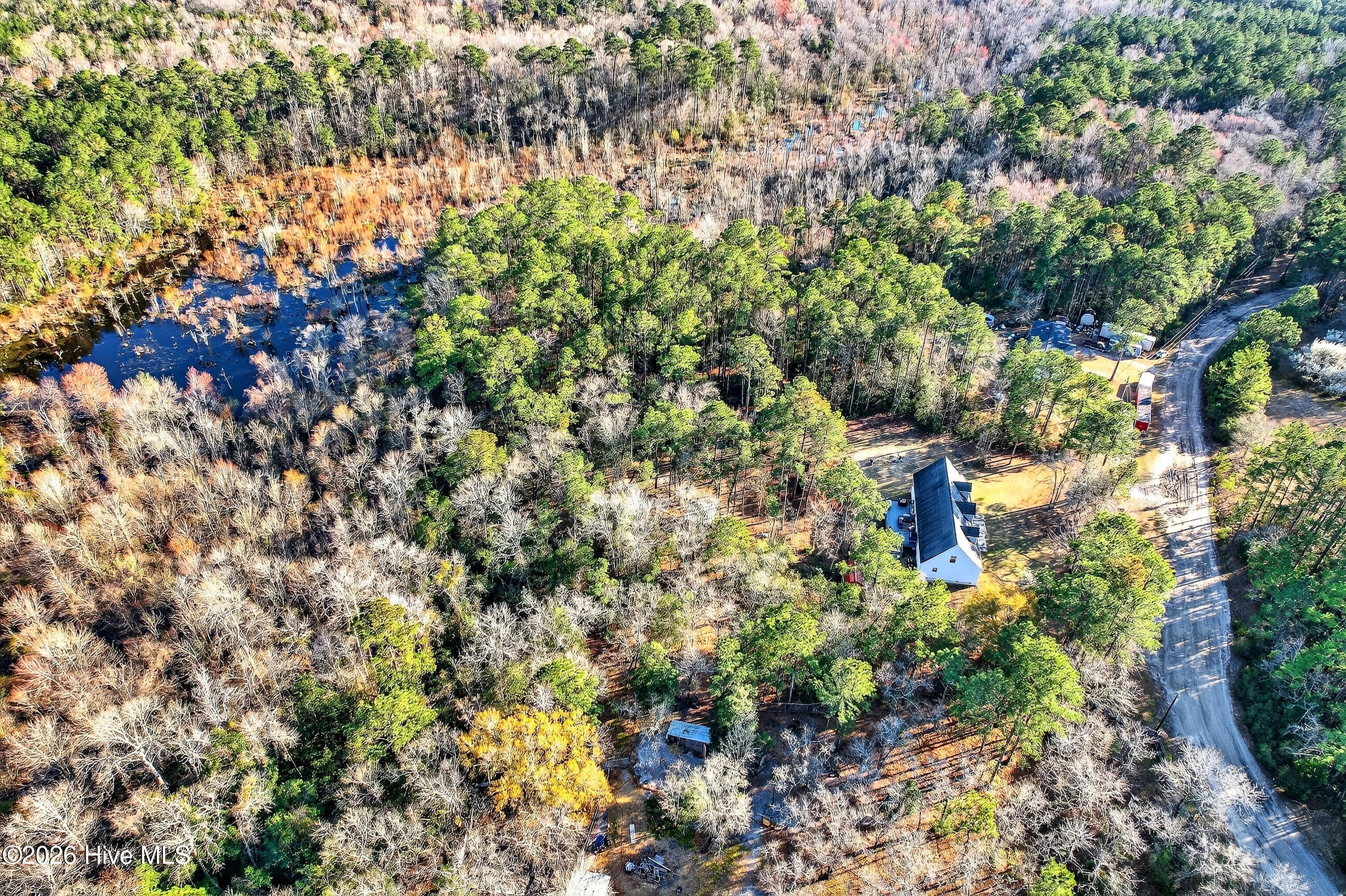 100559126 | Photo 41