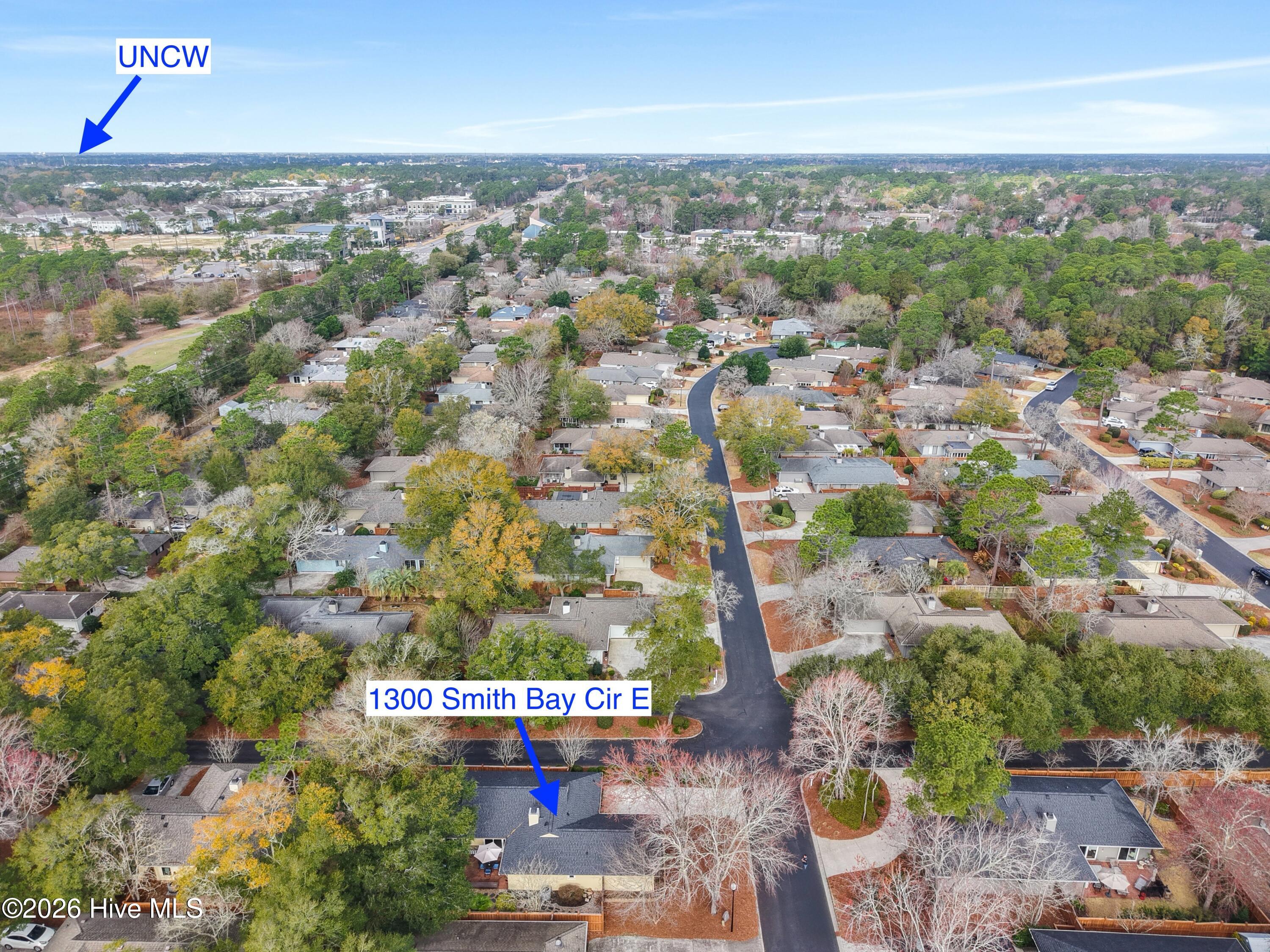 100558002 | Photo 54