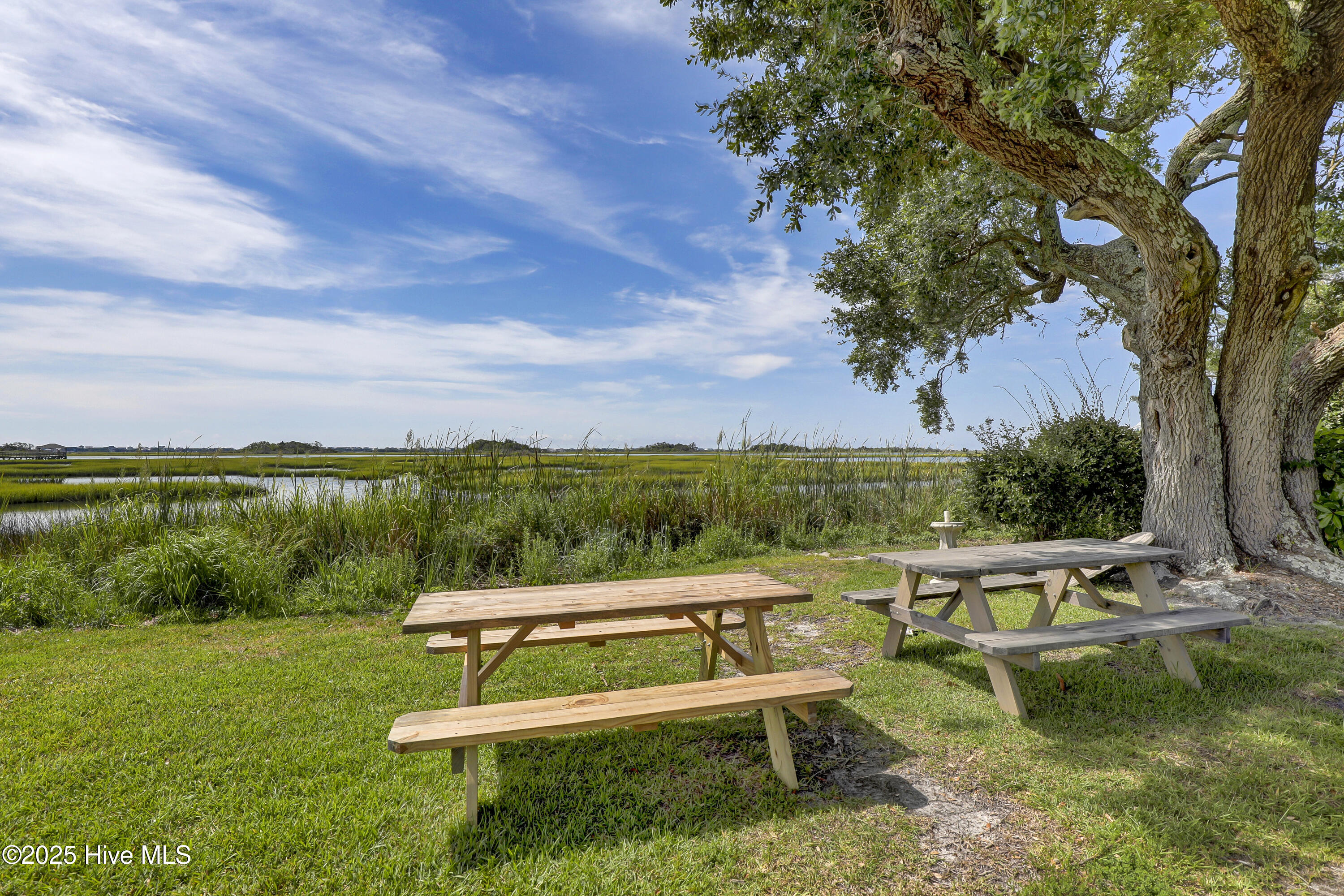 100521732 | Photo 17