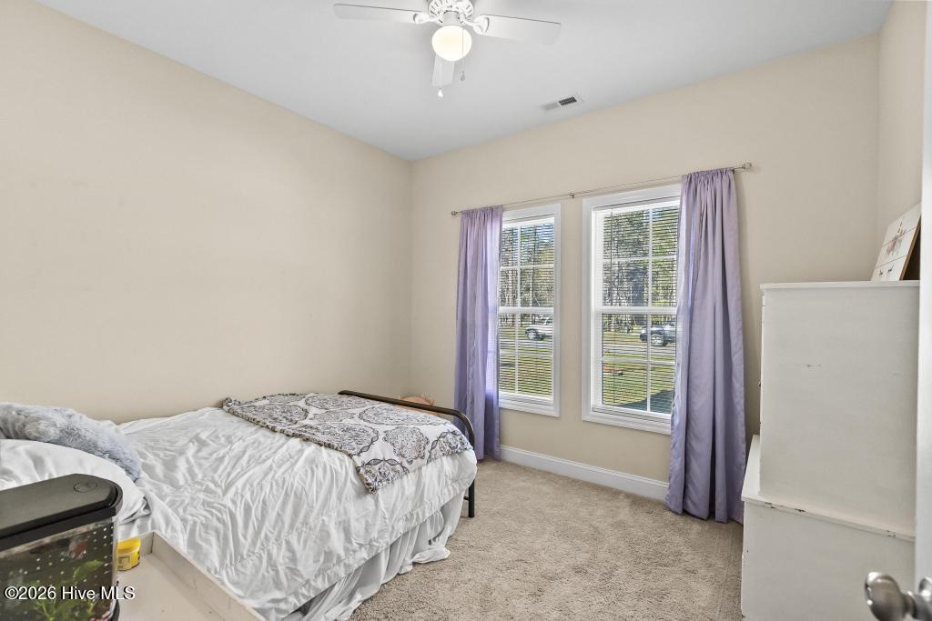 100565616 | Photo 20