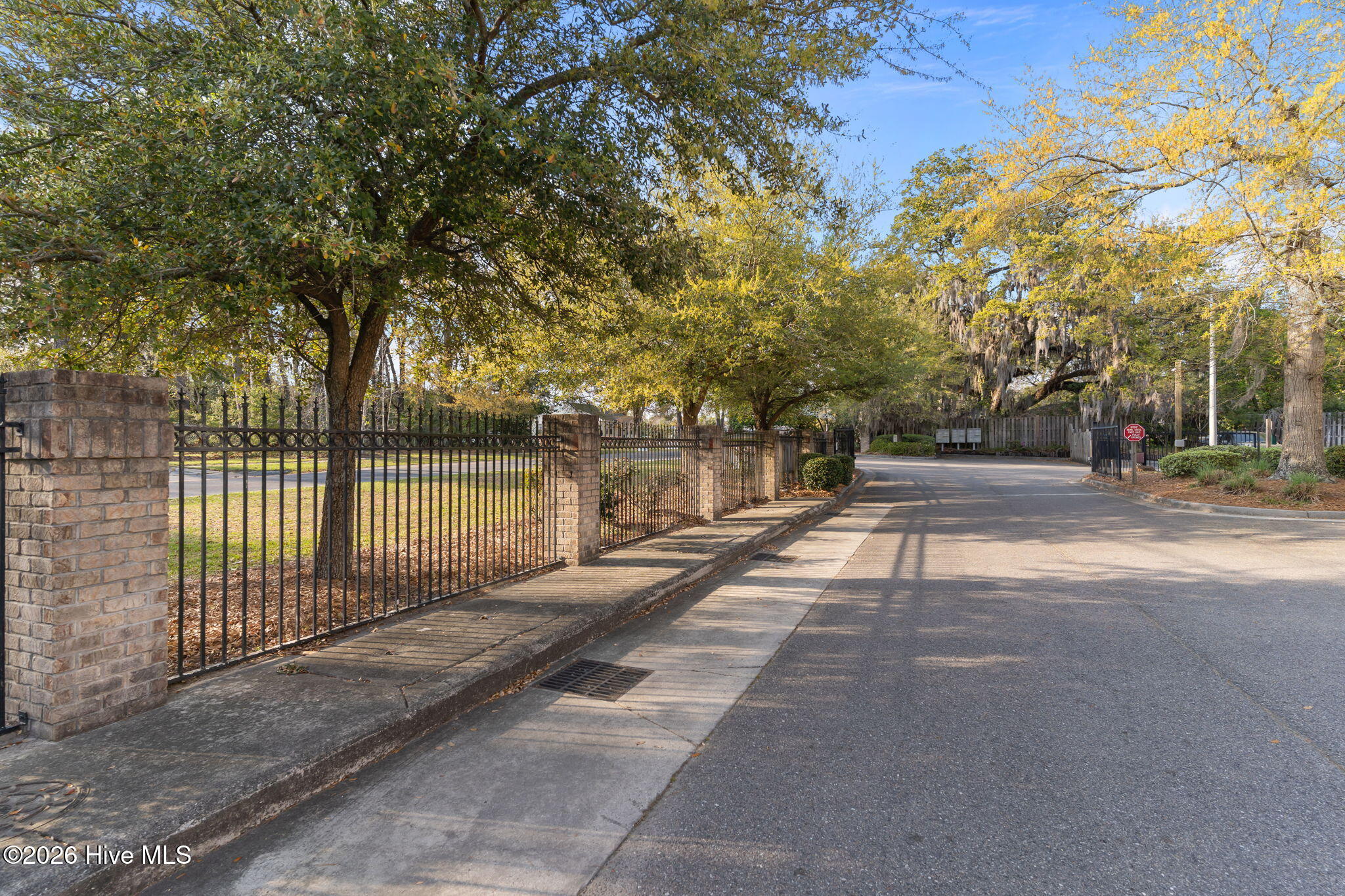 100562756 | Photo 43