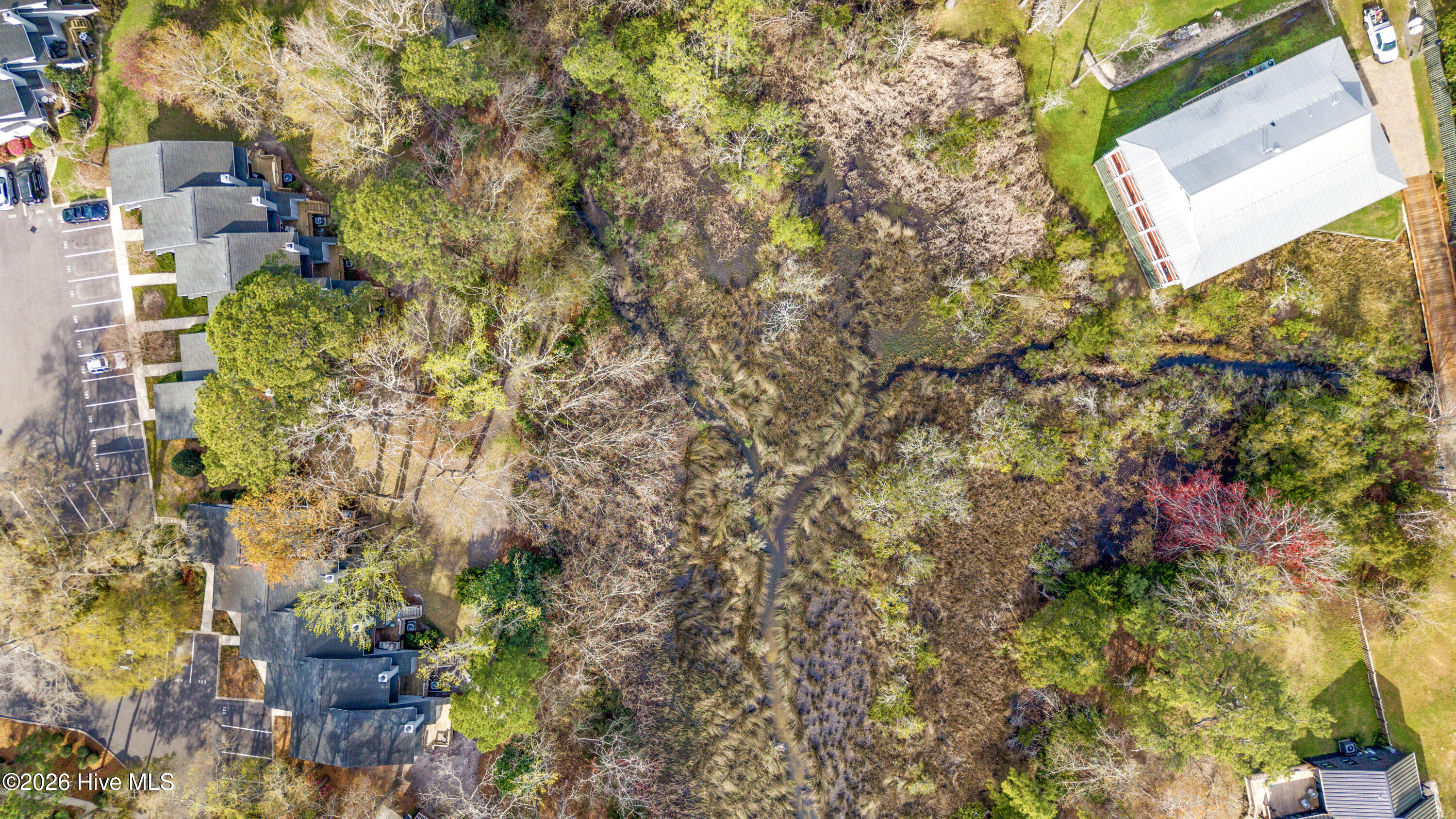 100561639 | Photo 59