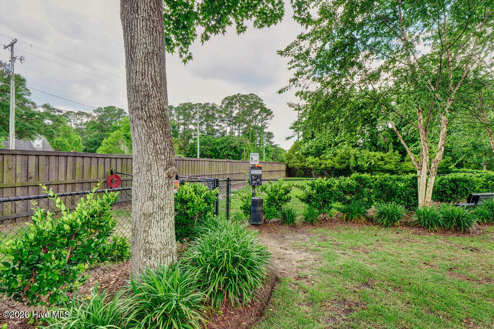 100558129 | Photo 66