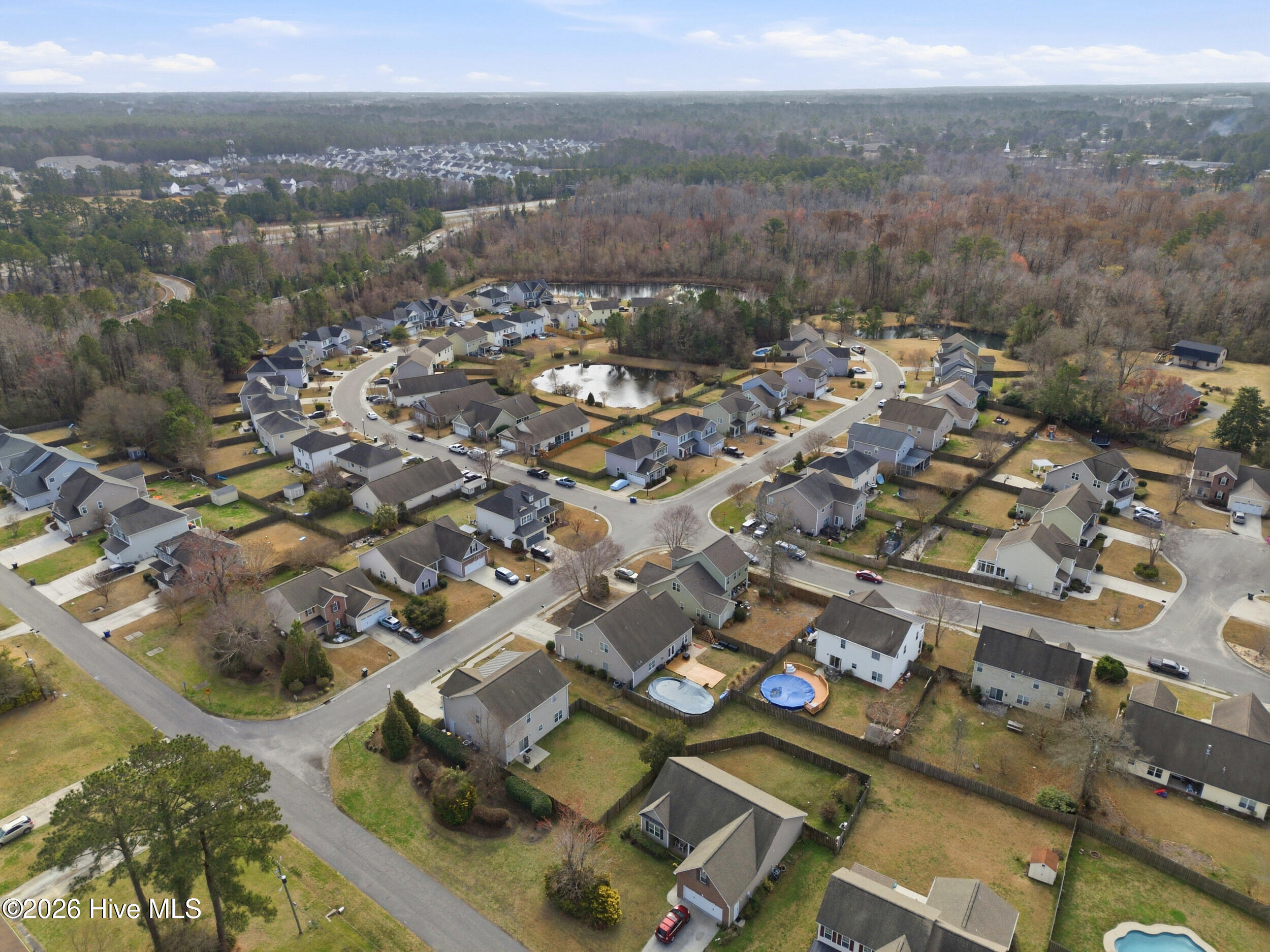 100557716 | Photo 46