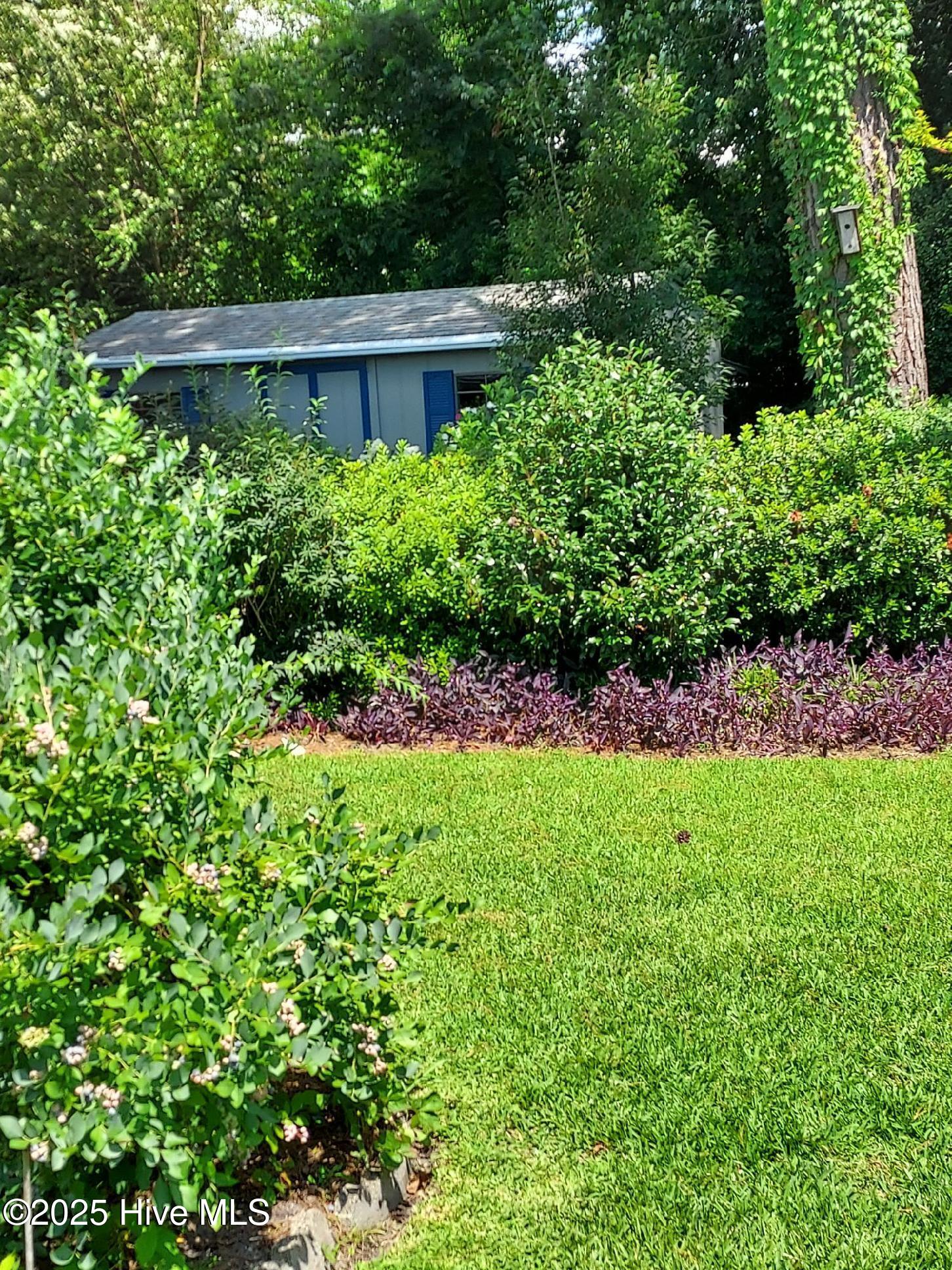 100537992 | Photo 48