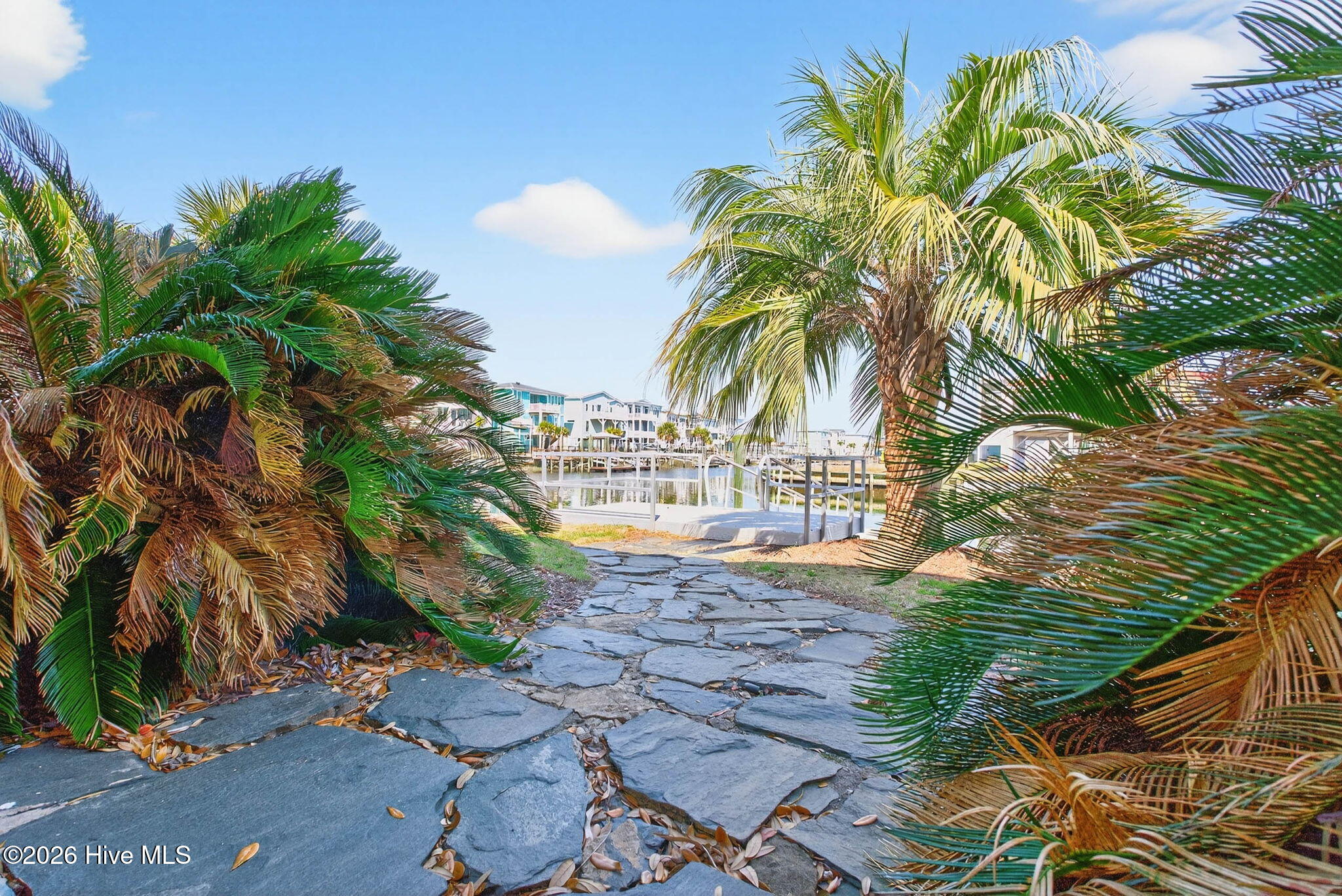 100564283 | Photo 58