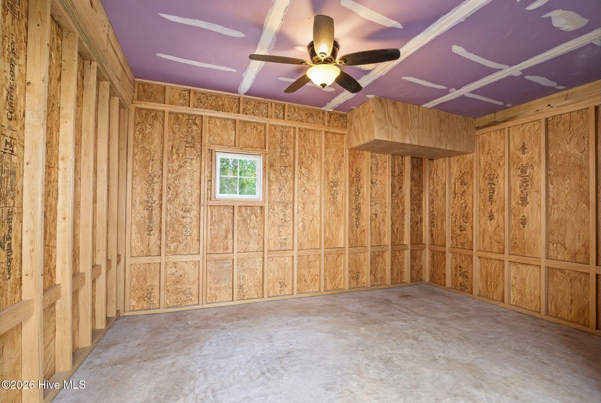 100554036 | Photo 34