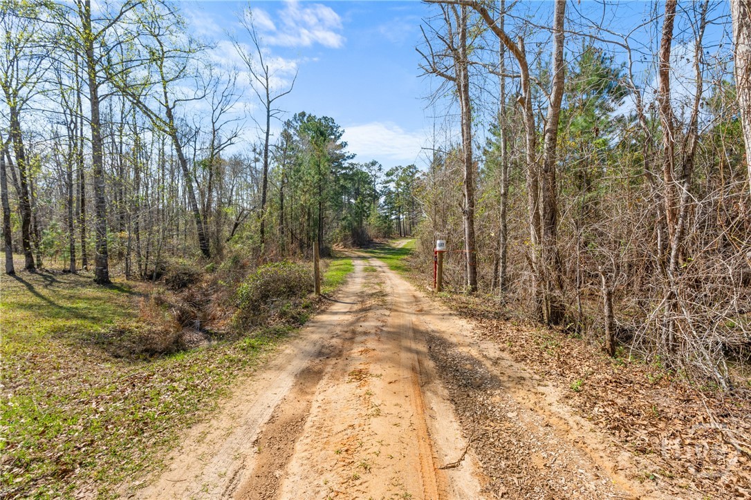 3127 Buttermilk, Sylvania, GA, 30467