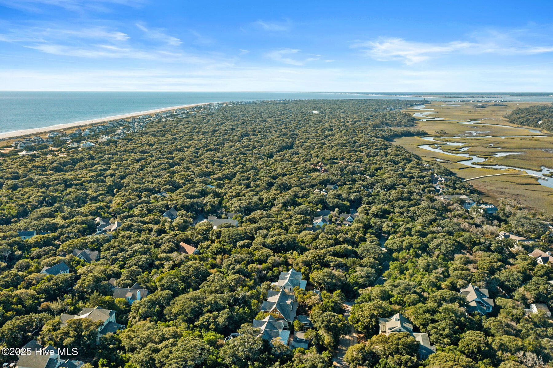 100401243 | Photo 93