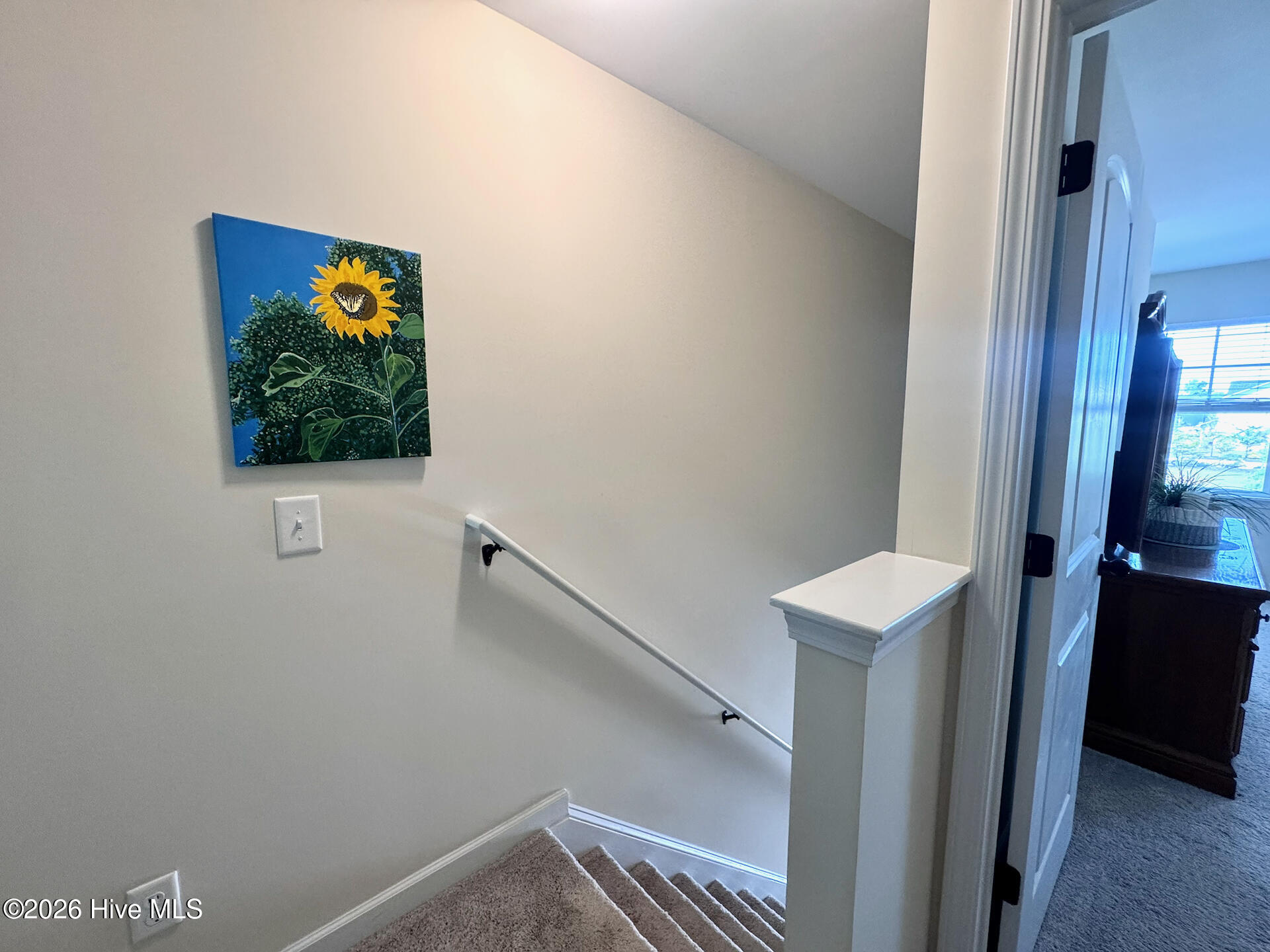 100567509 | Photo 31