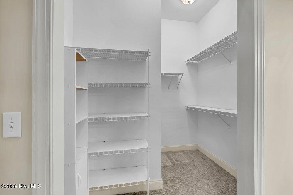 100554851 | Photo 19