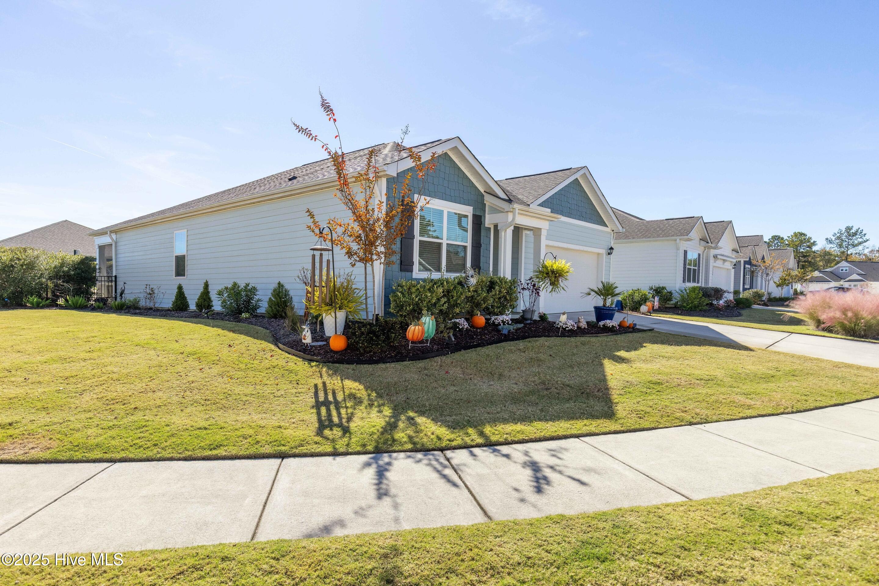 100531826 | Photo 94