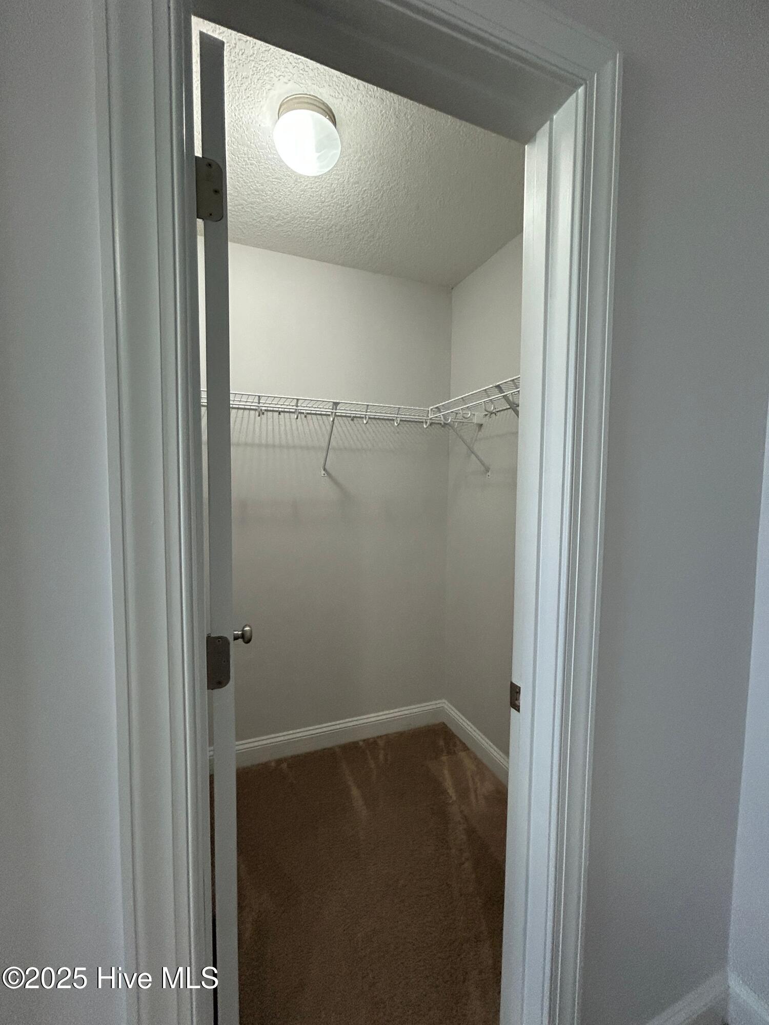 100528484 | Photo 46