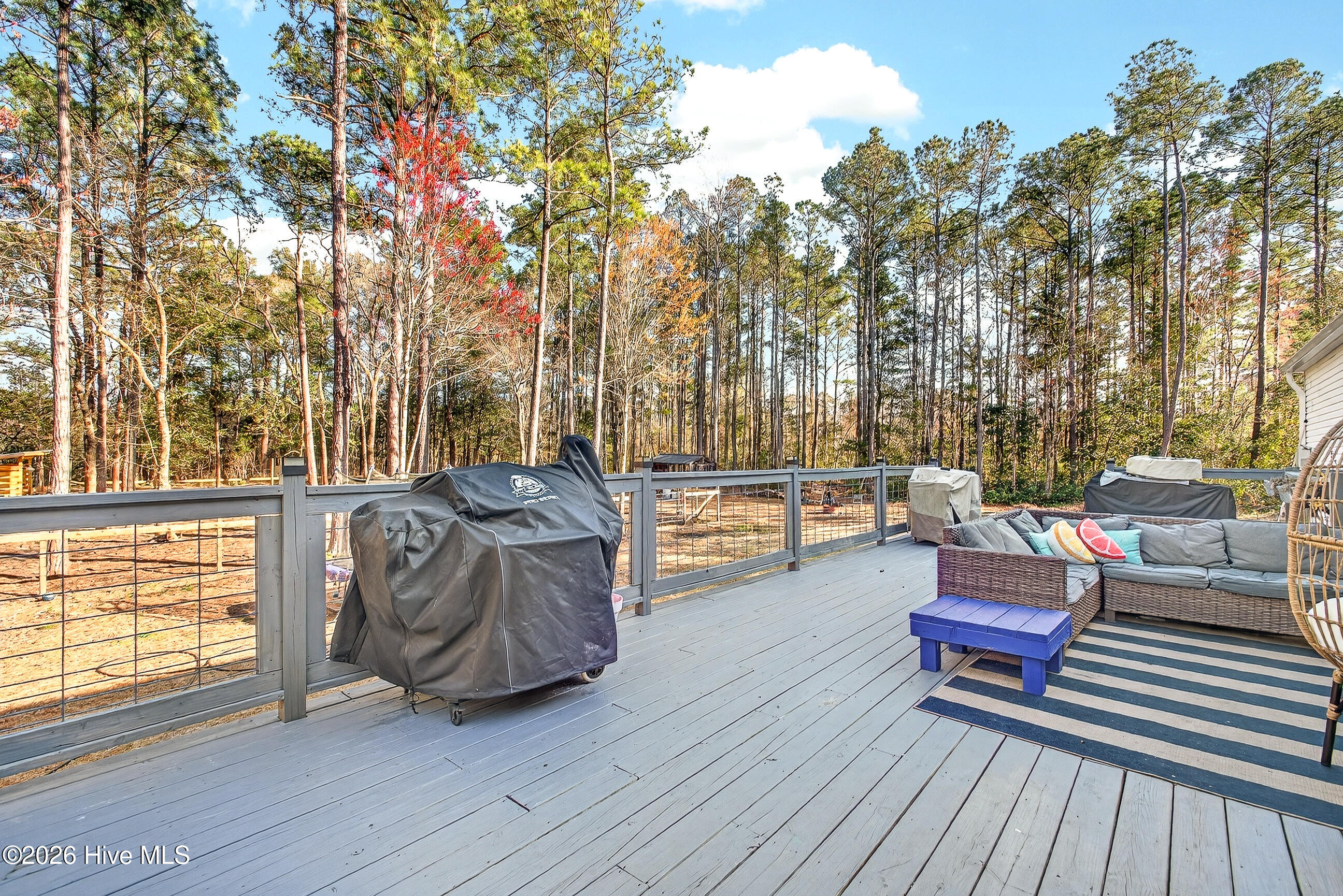 100559126 | Photo 33