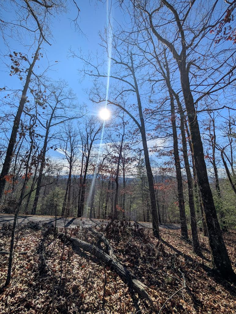 98500167