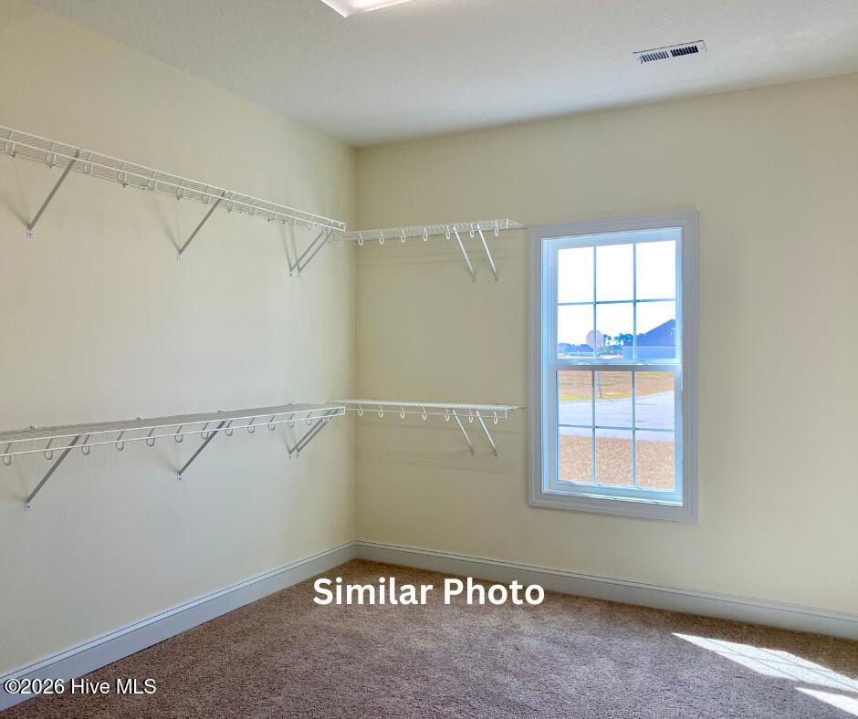 100558594 | Photo 21