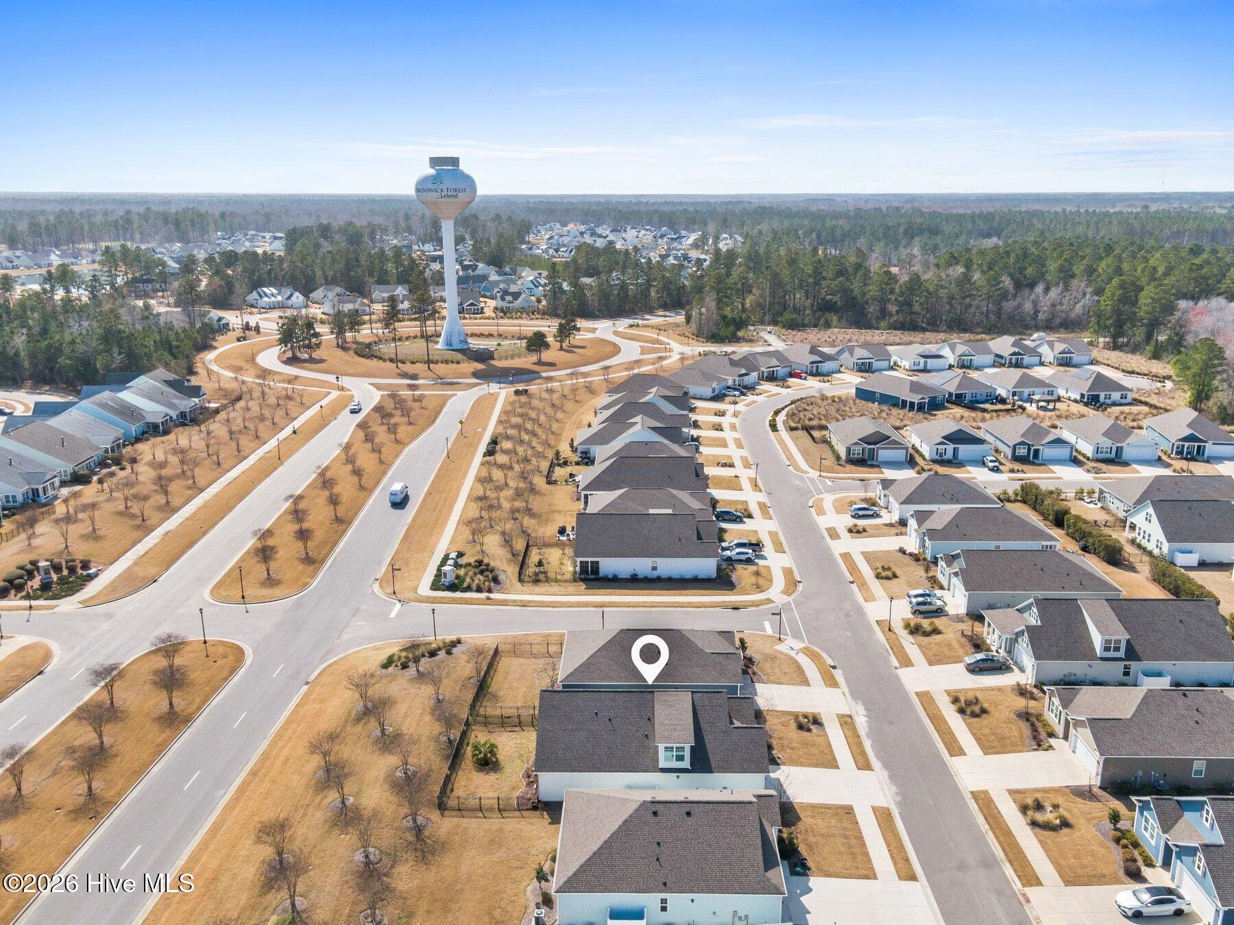 100558018 | Photo 31