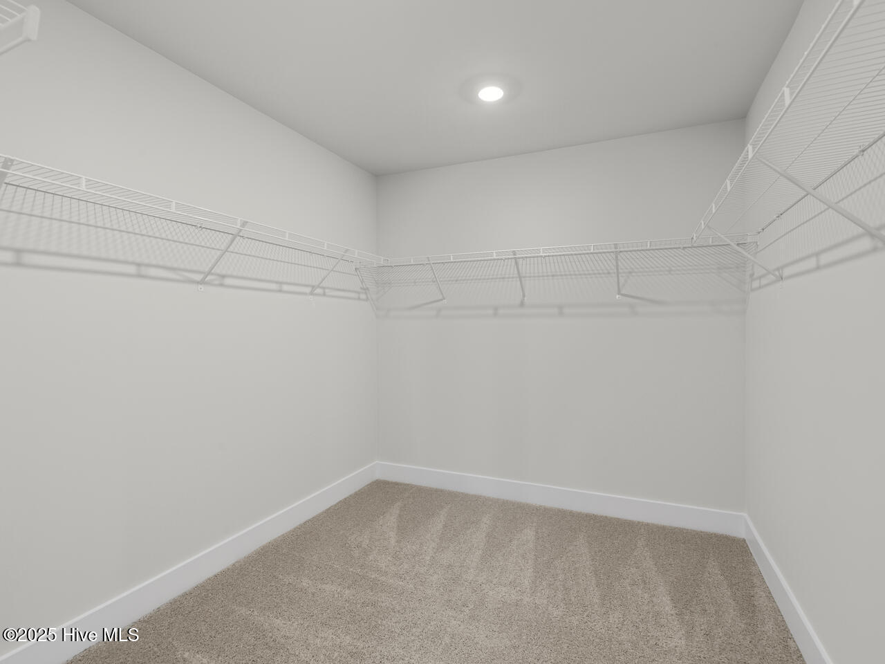 100536918 | Photo 30