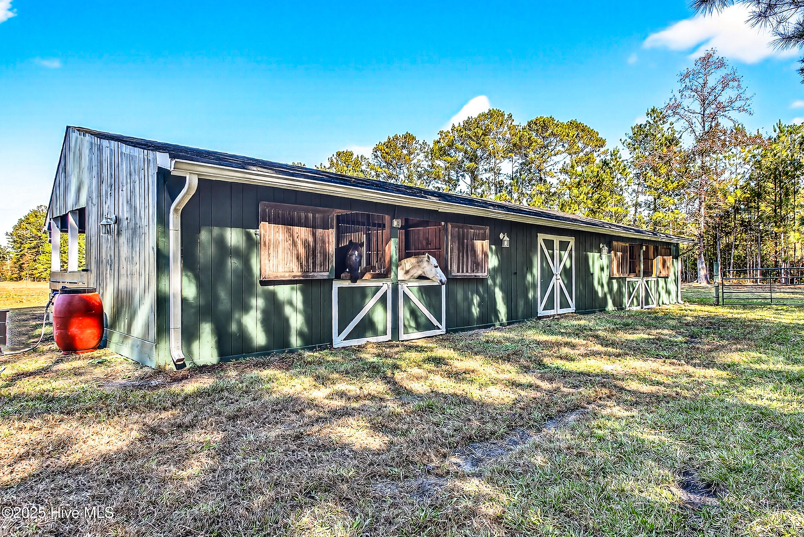 100540143 | Photo 42