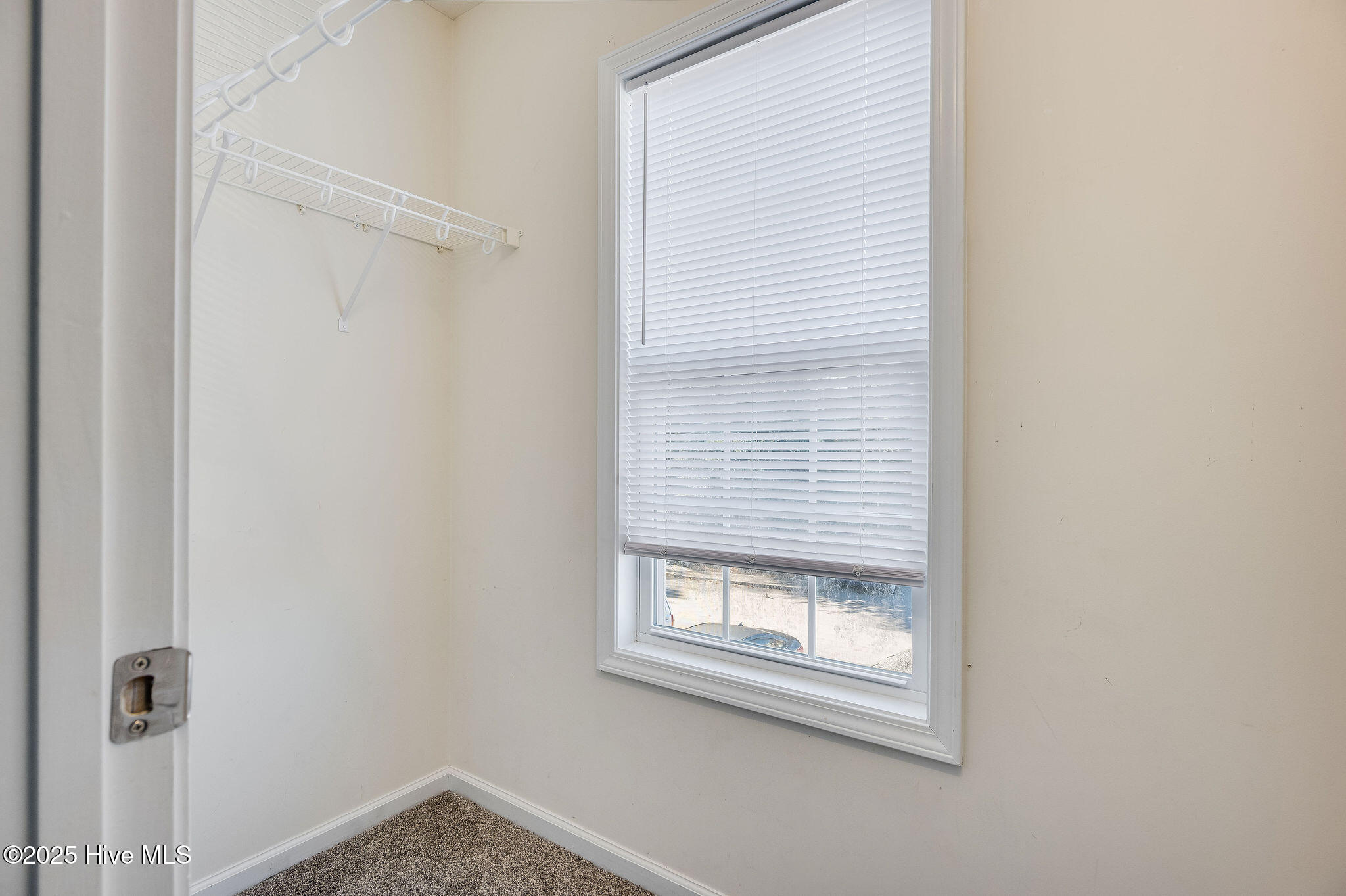 100541408 | Photo 44