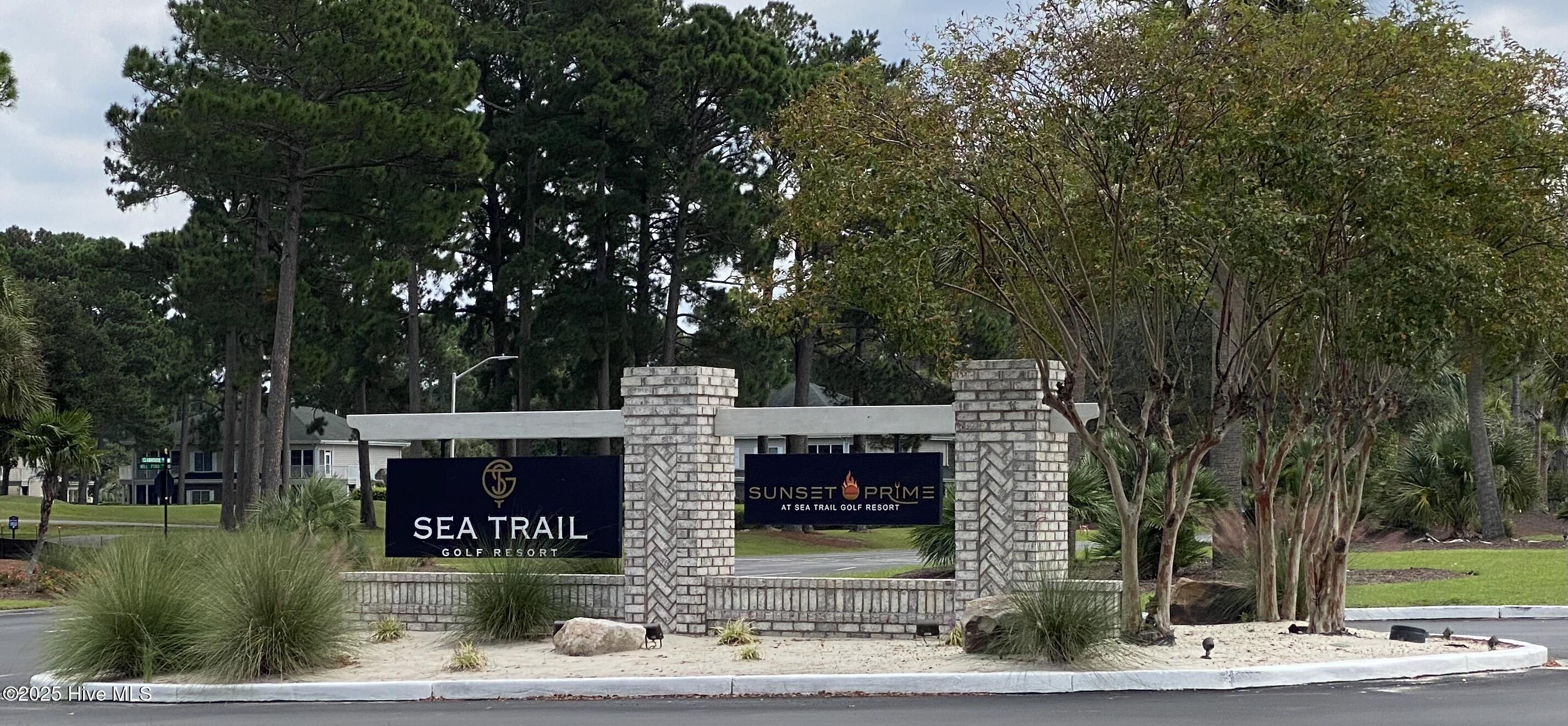 100558918 | Photo 49