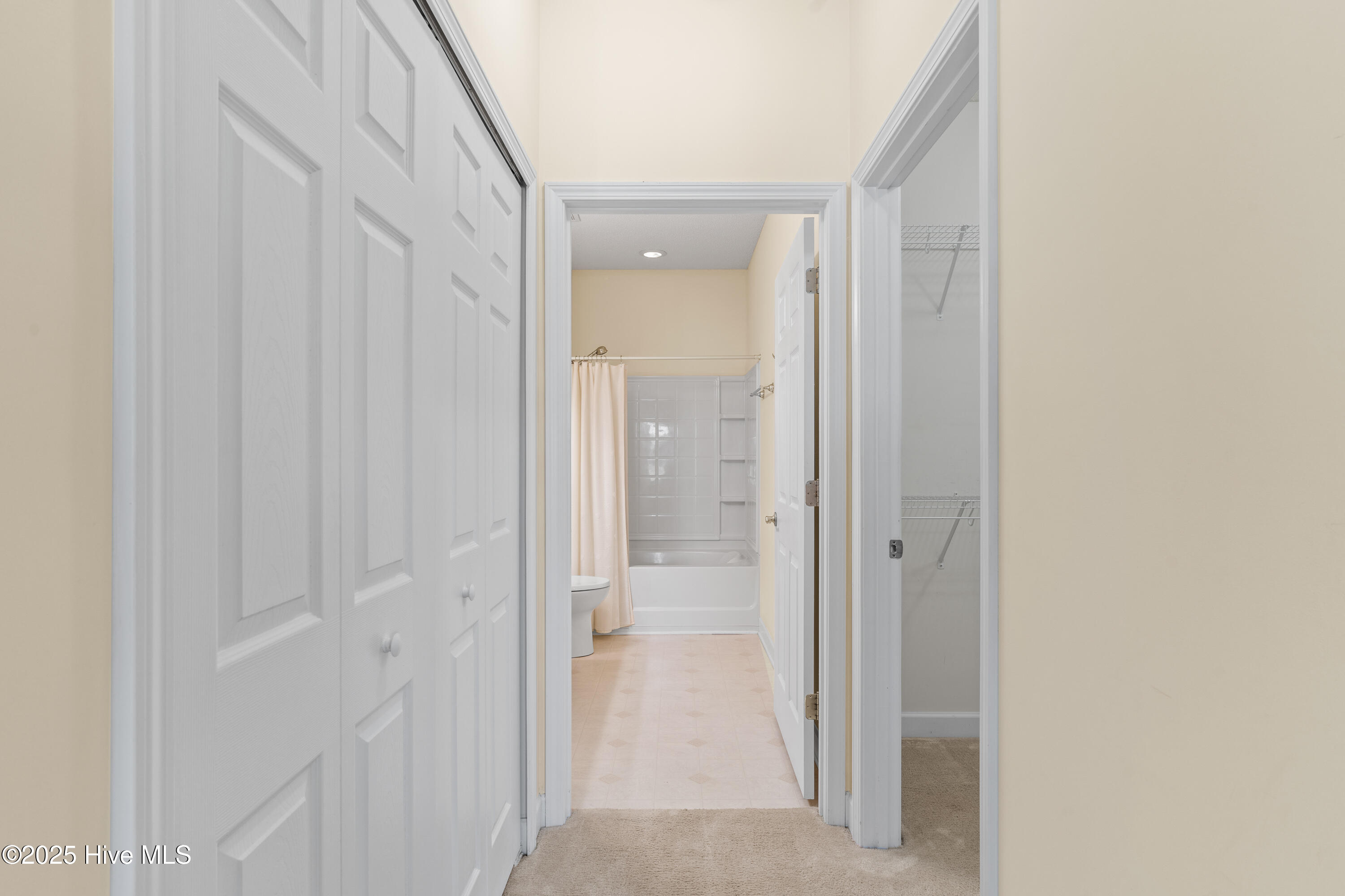 100529501 | Photo 26