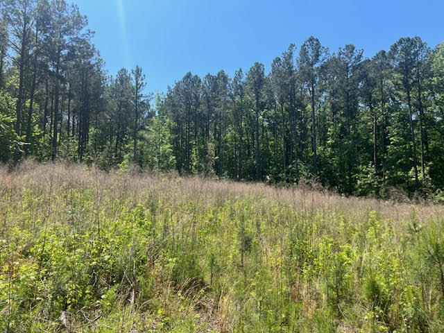 Homes for sale in Lincolnton, GA | 0000 Dooly Springs, Lincolnton, GA 30817 | MLS# 528227