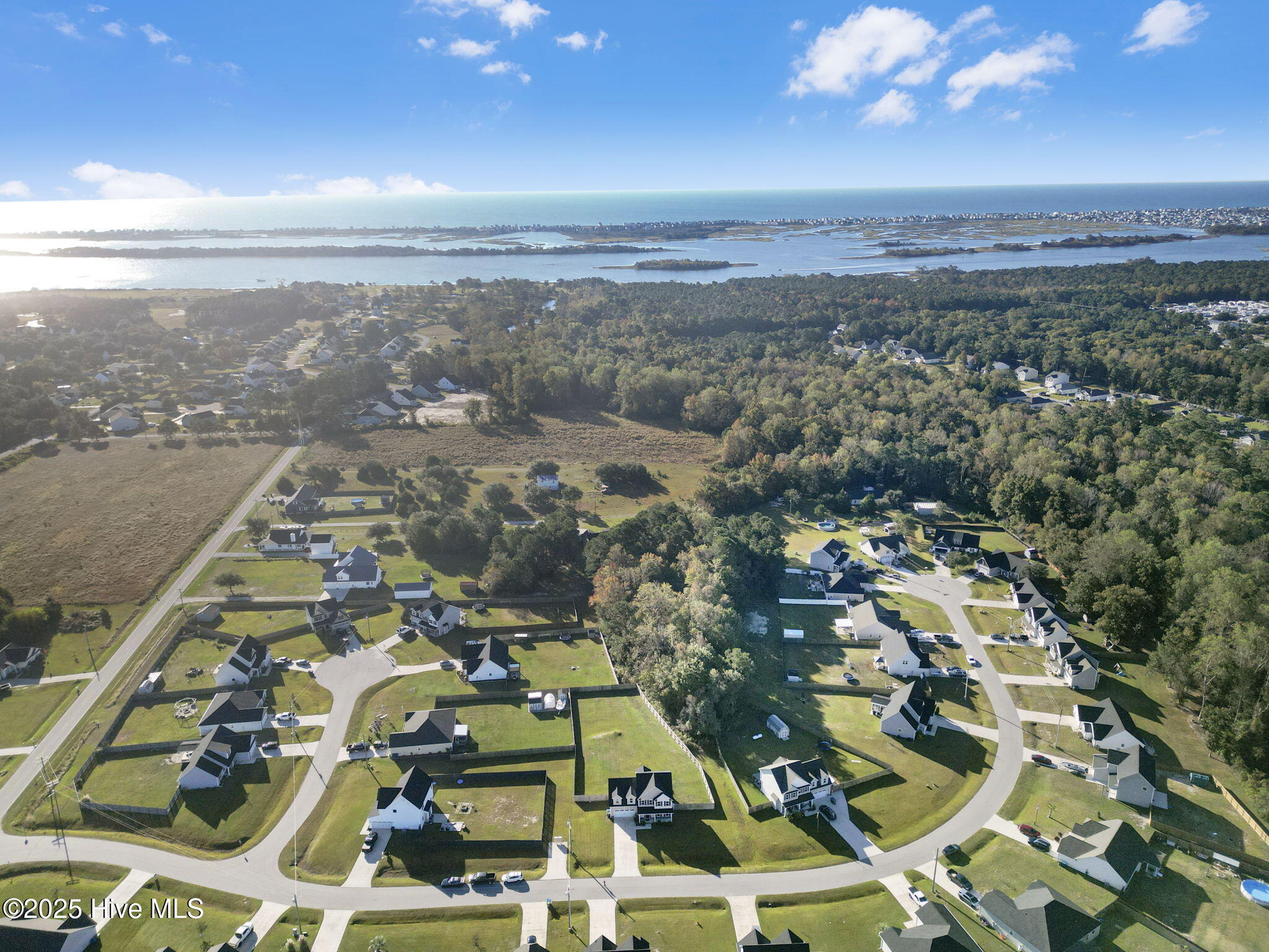 100538262 | Photo 47