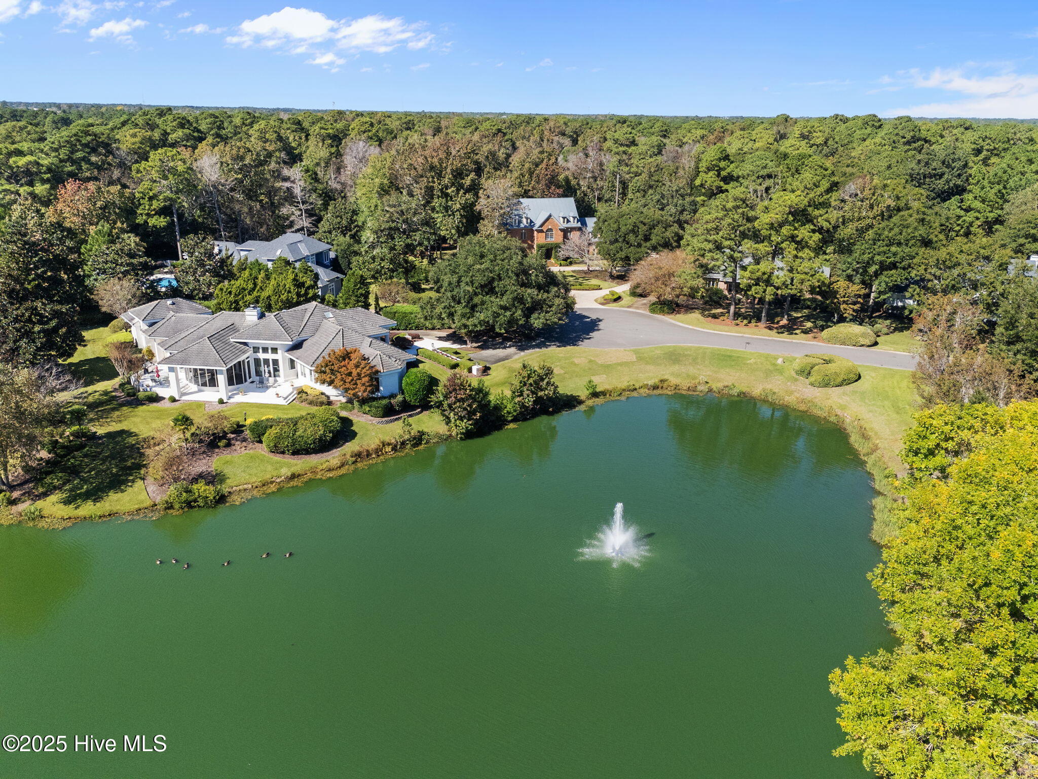 100537269 | Photo 67