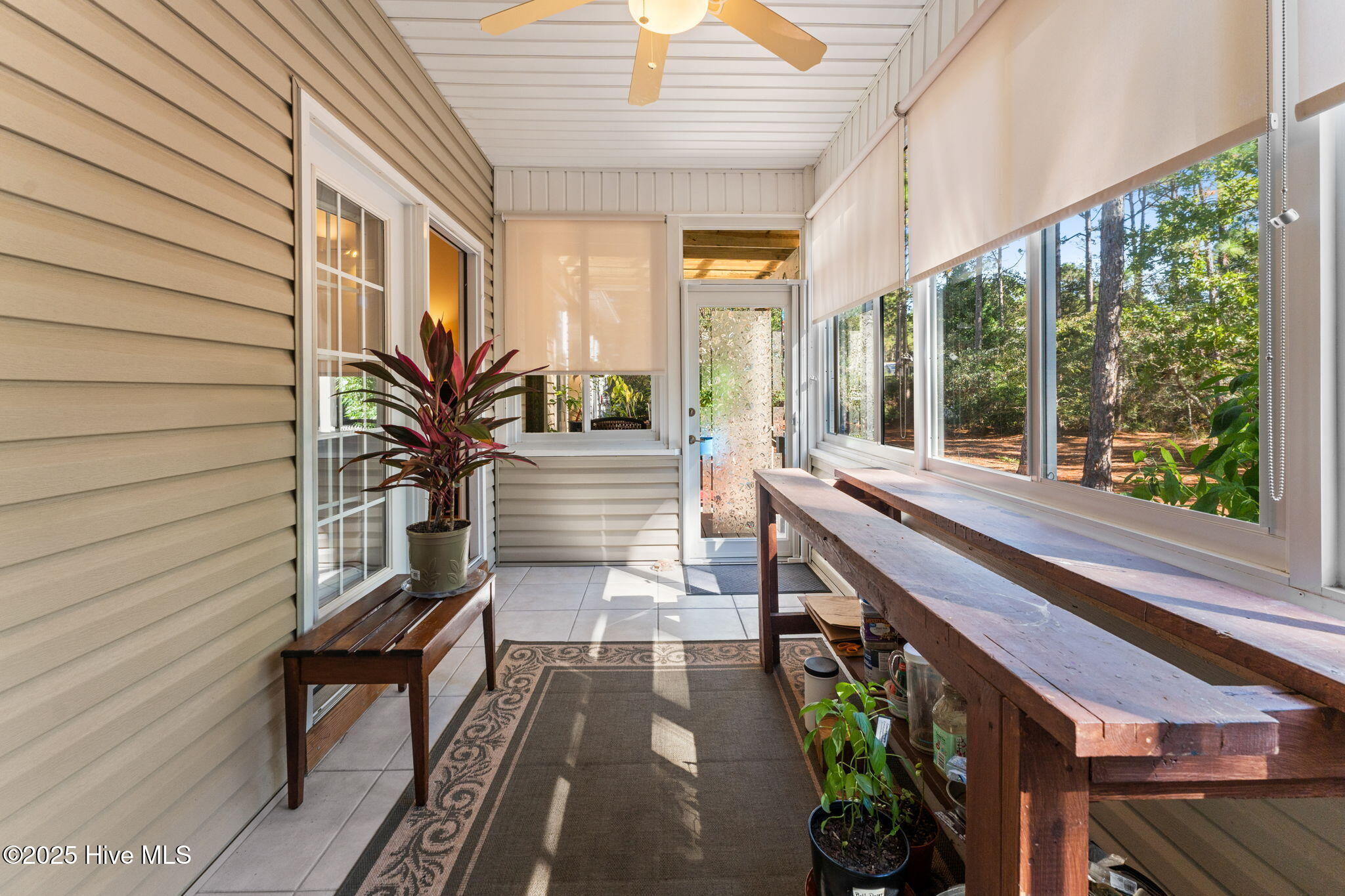 100539831 | Photo 34