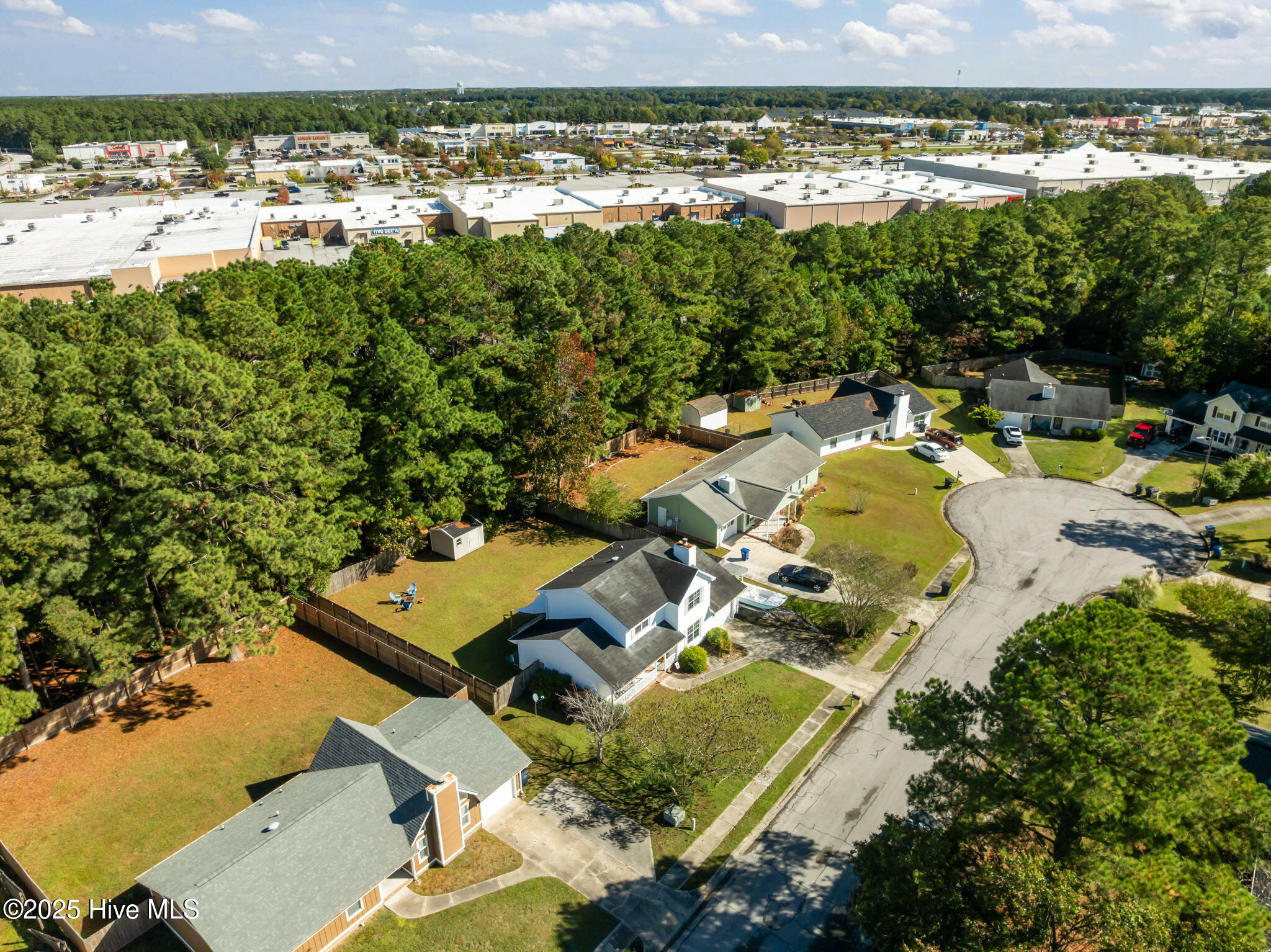 100539001 | Photo 43