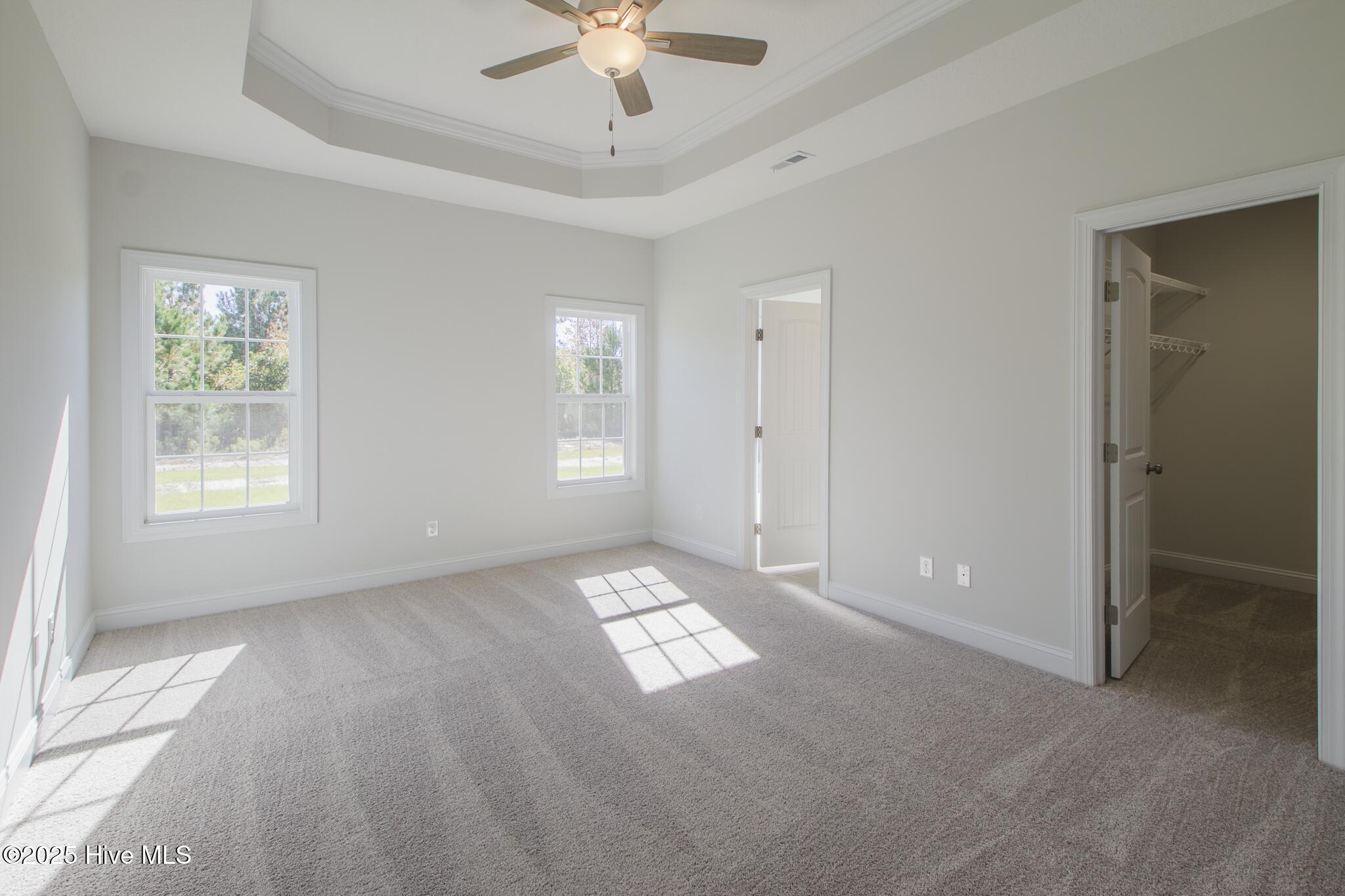 100494153 | Photo 11