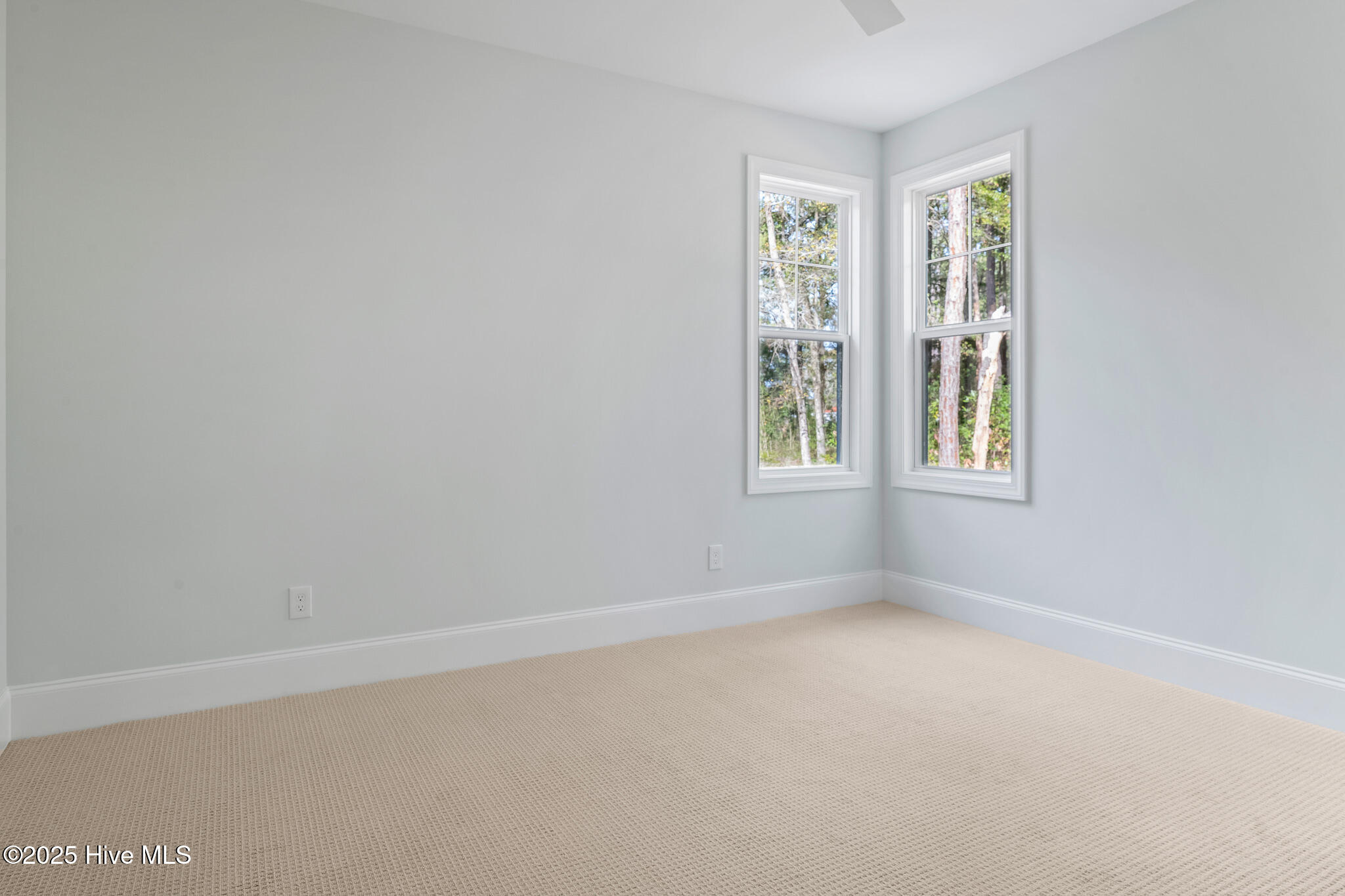 100535512 | Photo 46