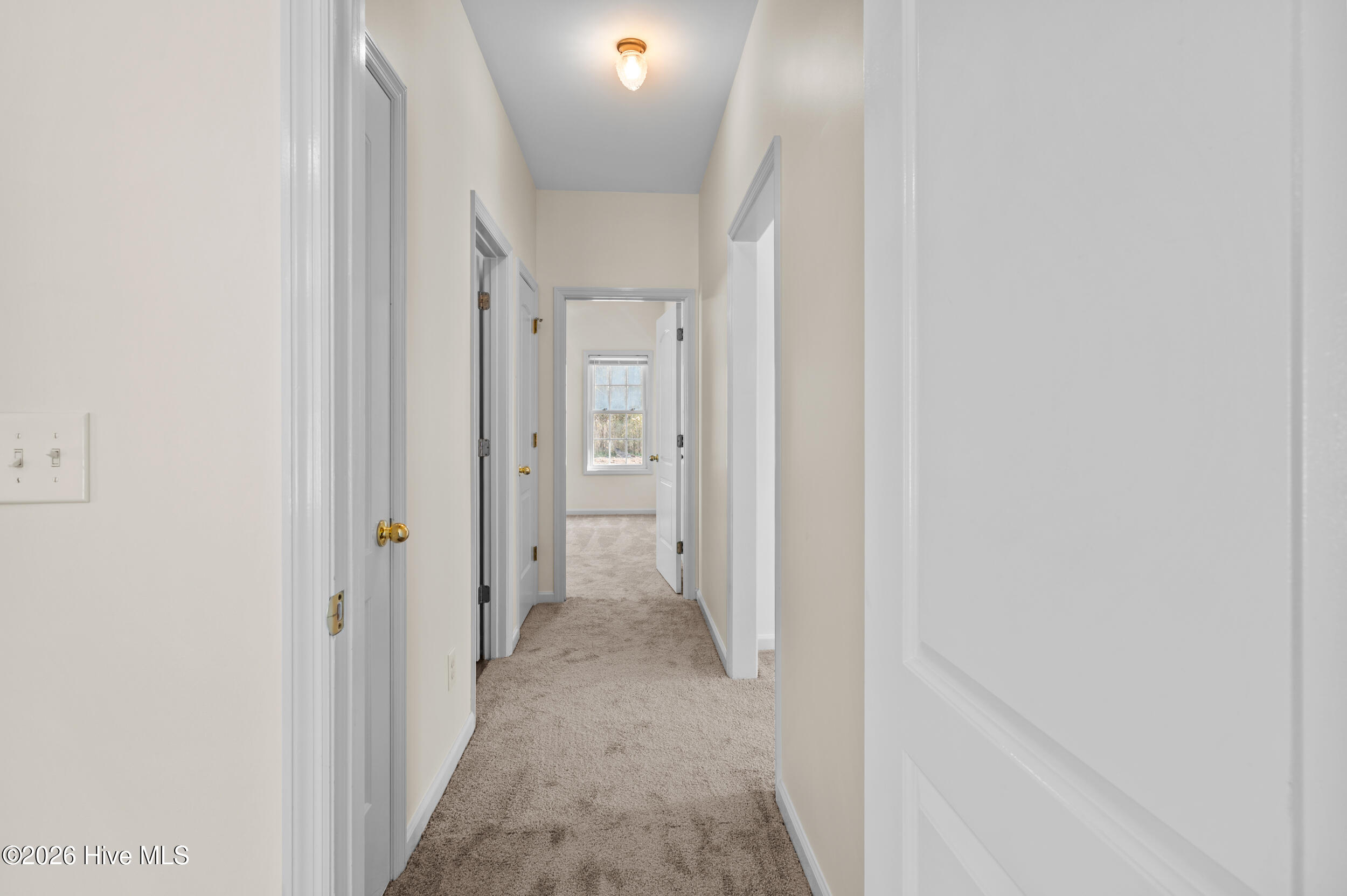 100553991 | Photo 20