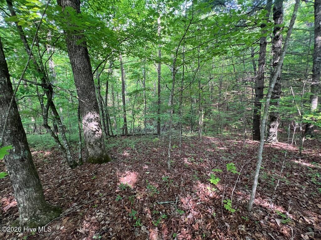 Exterior photo of Lot 1 Leonard Lane, Murphy, NC 28906. MLS: 100590845