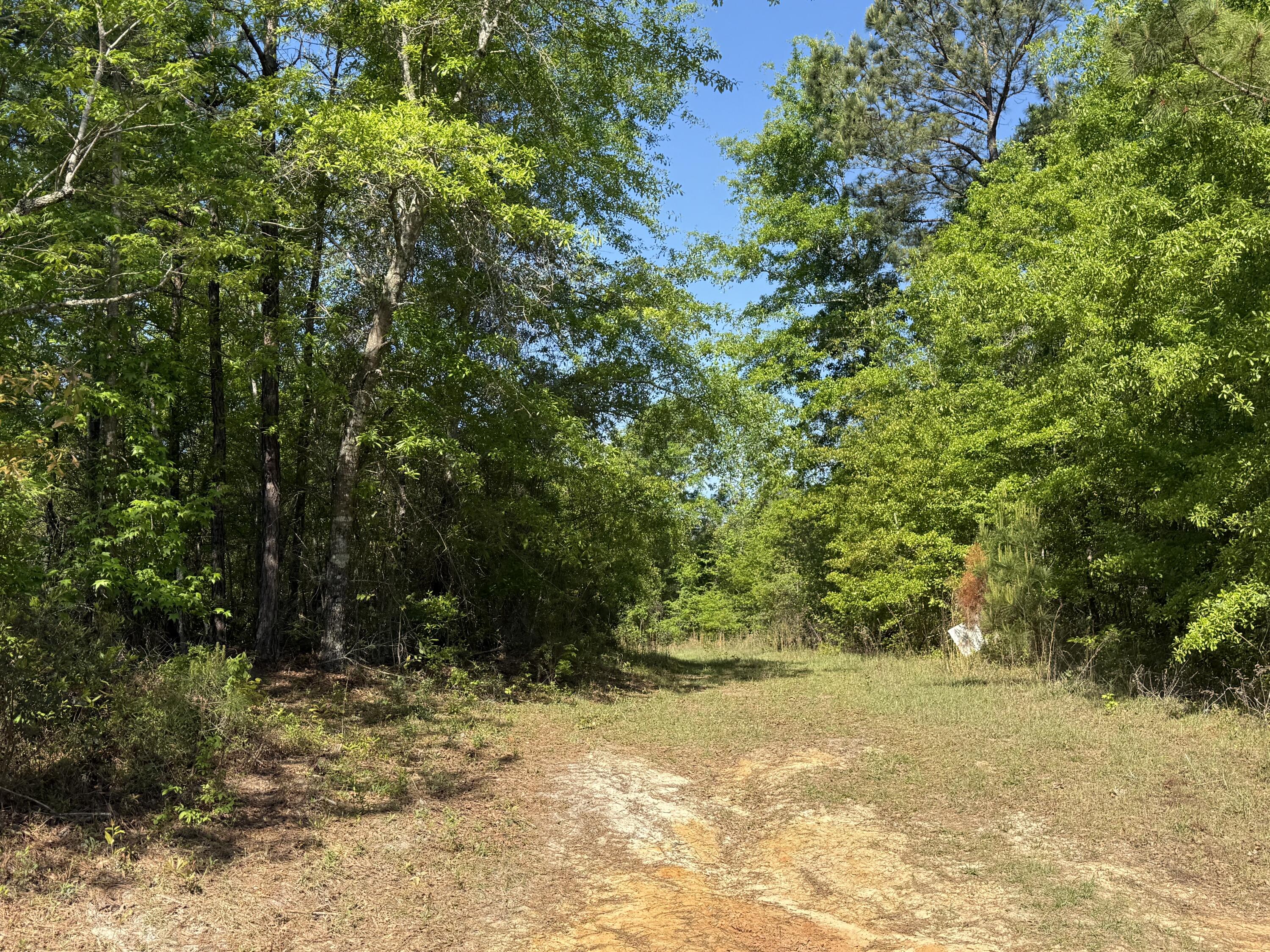 8087 Sandhill Road, Mitchell, GA, 30820