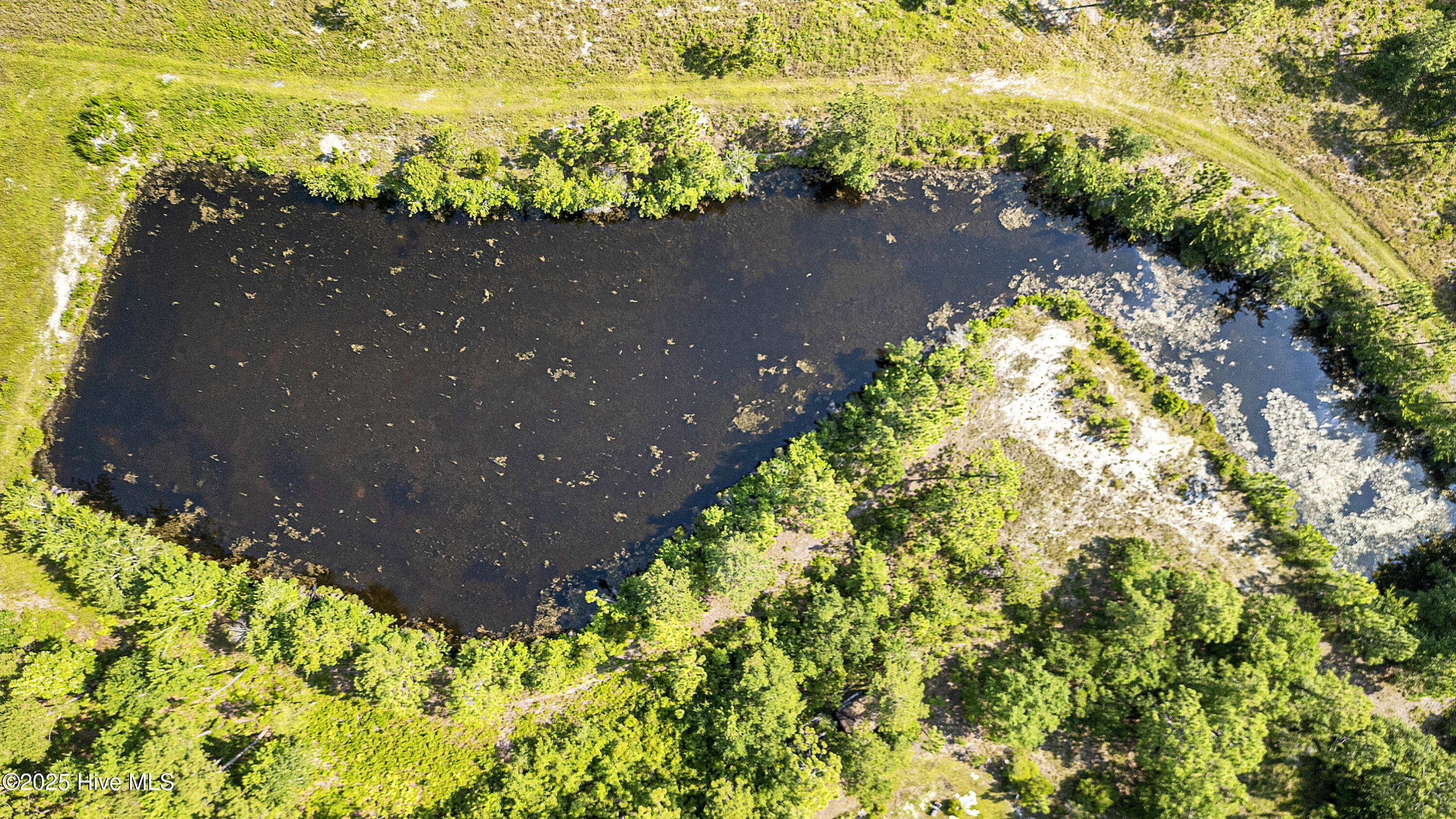 100516519 | Photo 14