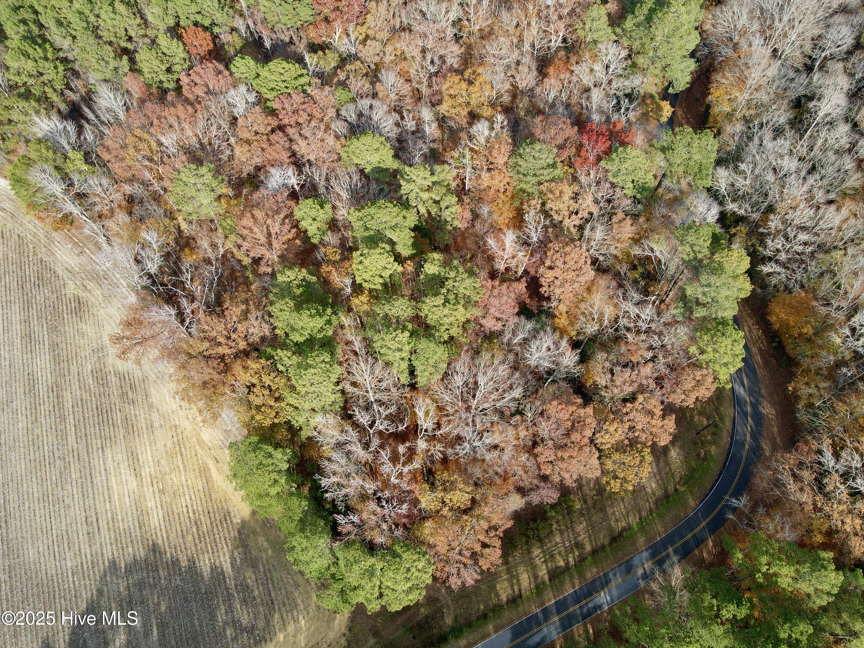 tbd Deerfield Rd, Hardeeville, GA, 29936