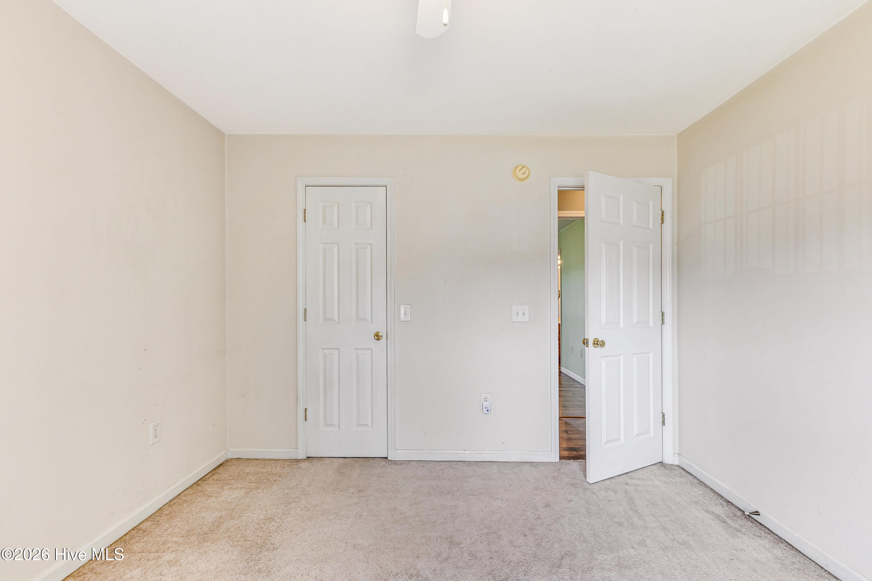 100566920 | Photo 24