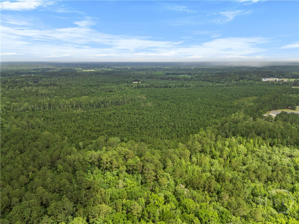 0 Rahn Station Road, Rincon, GA, 31326
