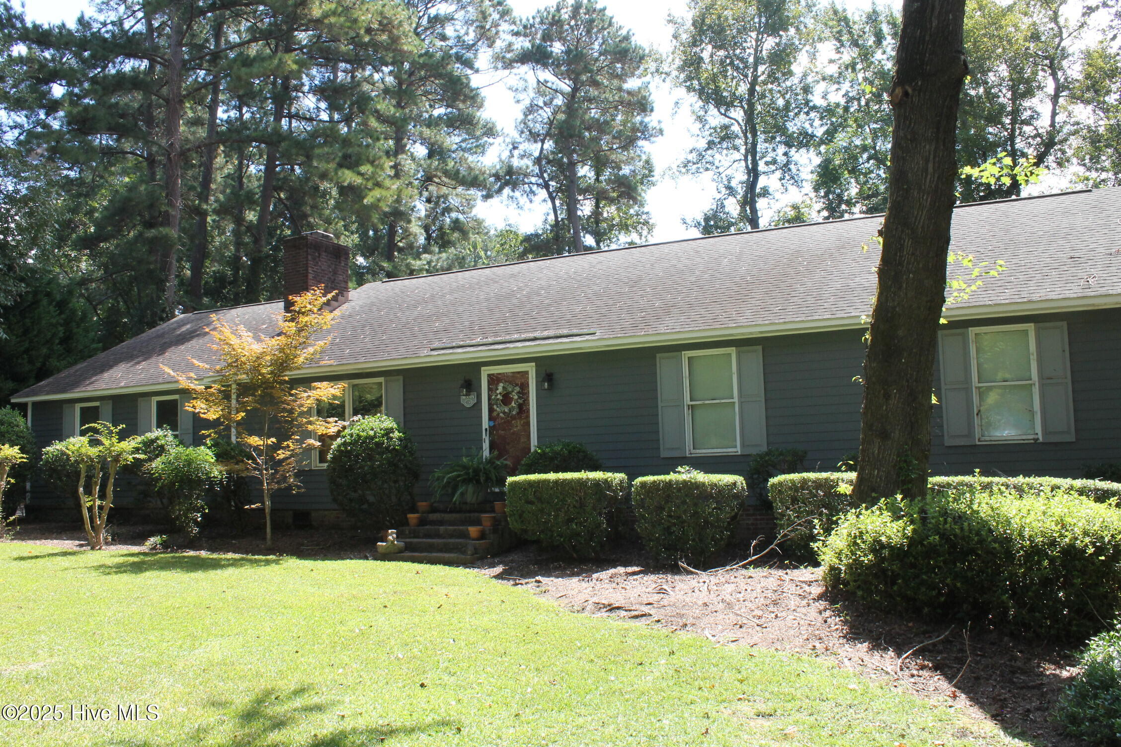 100530982 | Photo 19