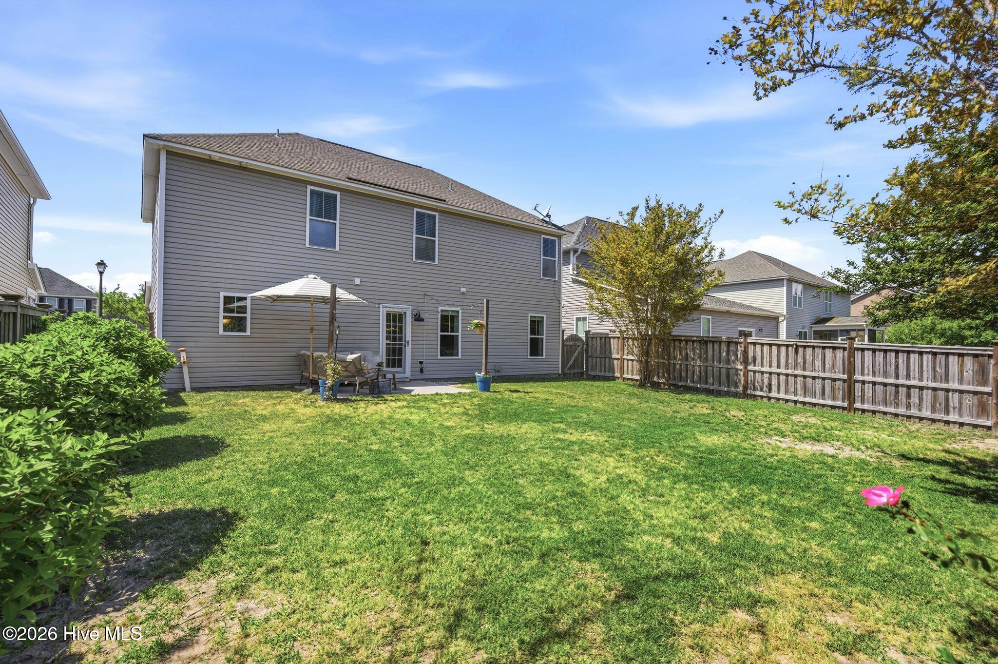 100566118 | Photo 49