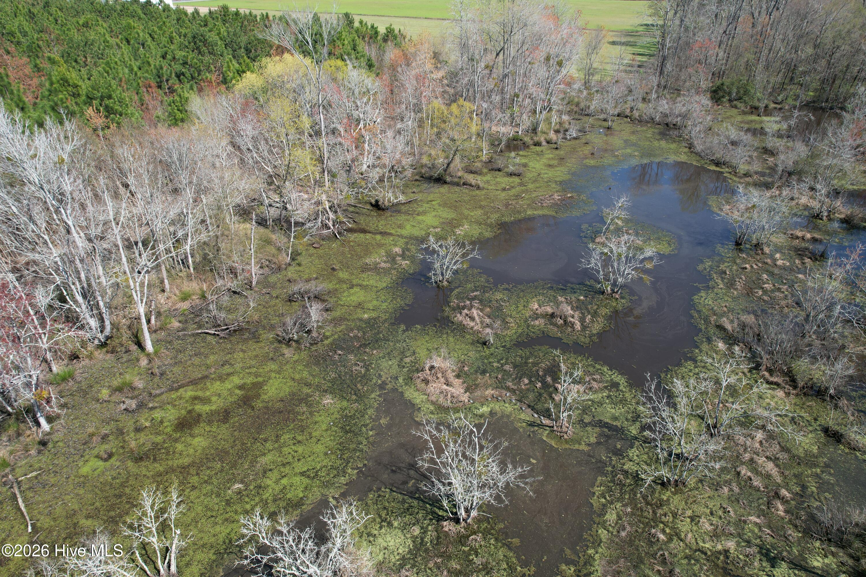 100560557 | Photo 15