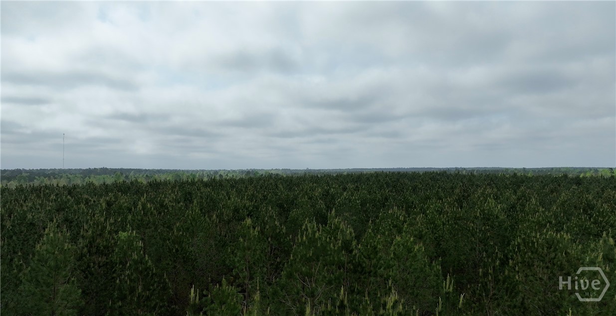 Homes for sale in Midville, GA | 02 Saint Galilee Rd, Midville, GA 30401 | MLS# SA350354