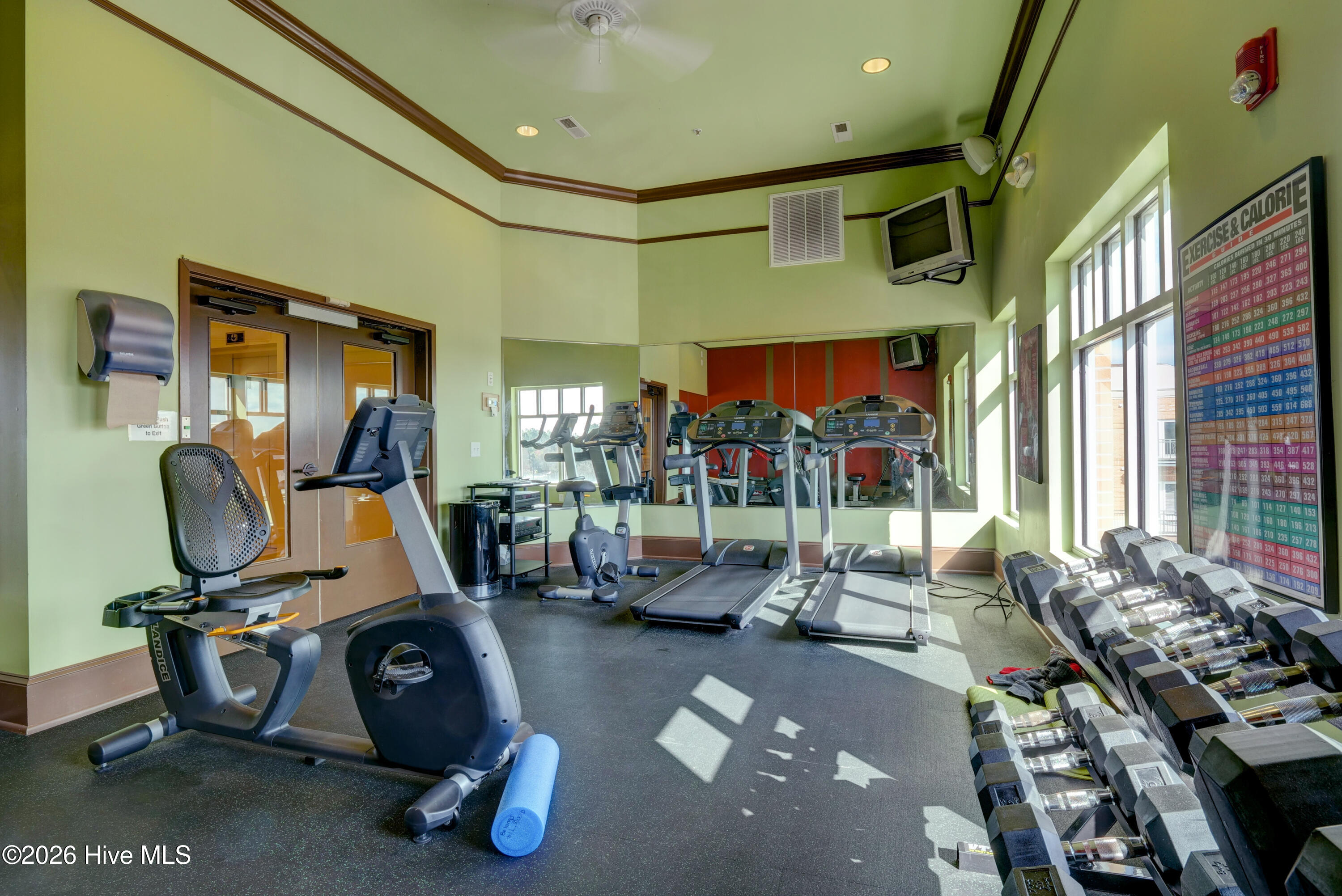 100558584 | Photo 34