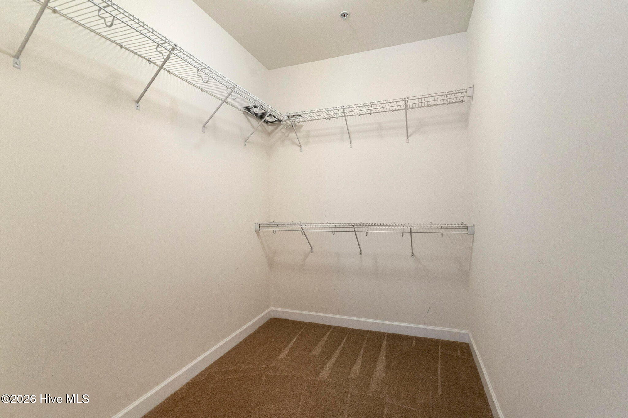 100548445 | Photo 21