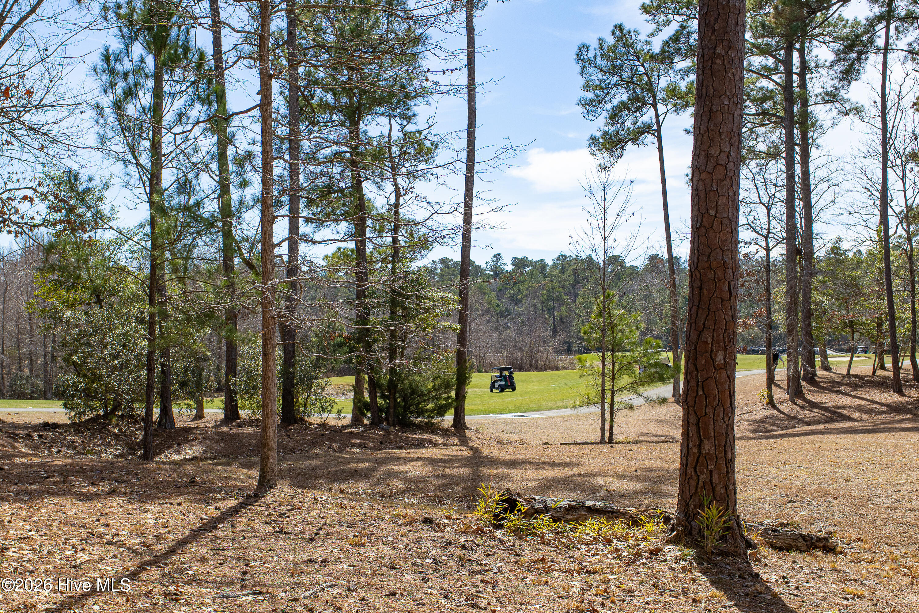 100555548 | Photo 10